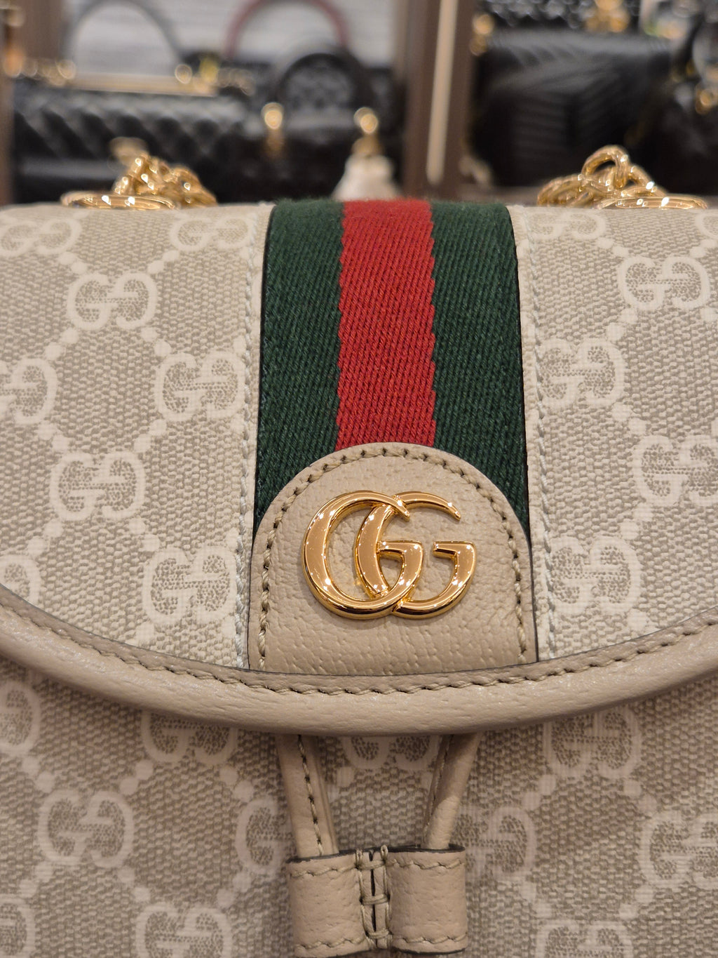 Gucci Backpack Monogram
