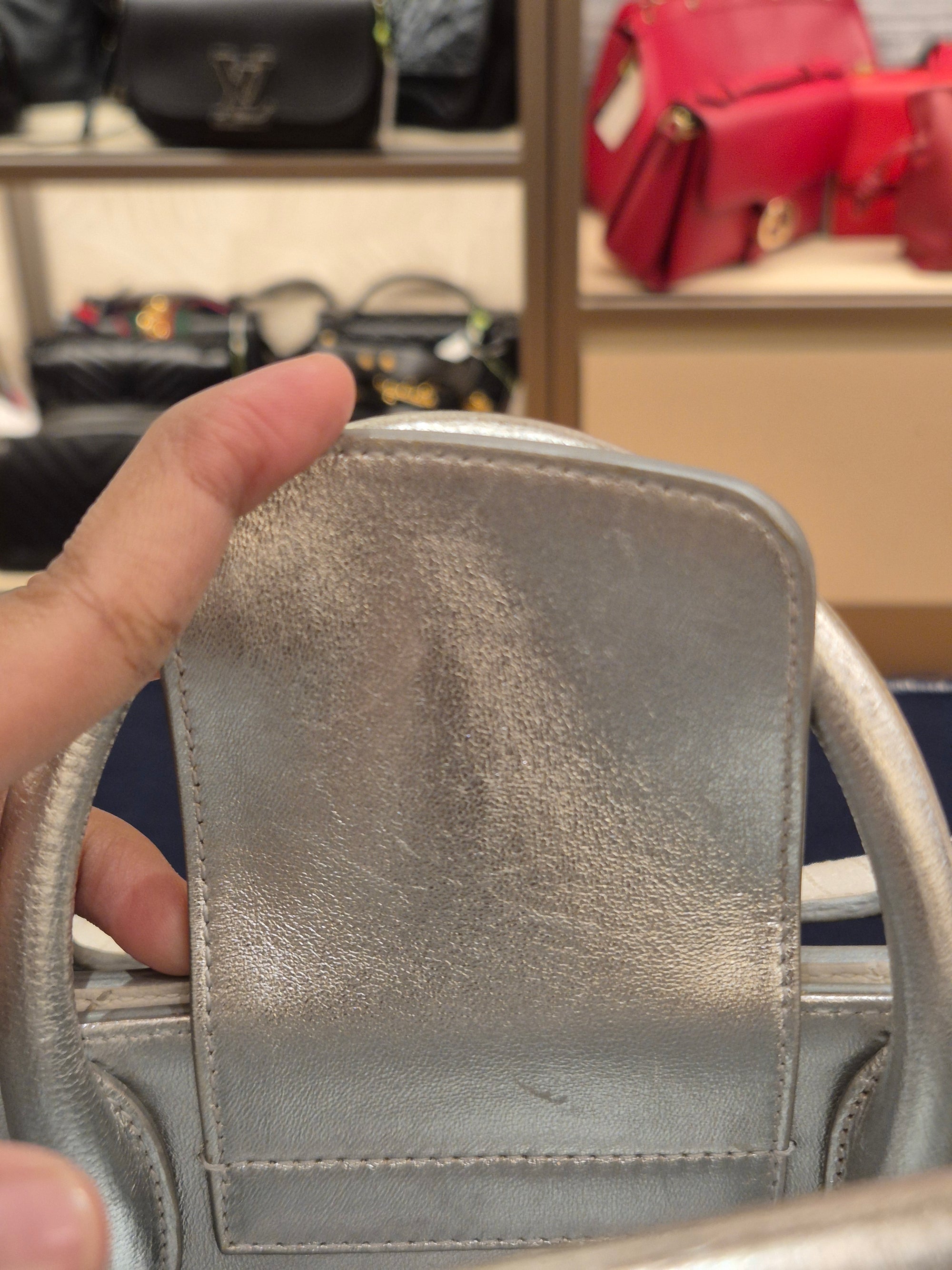 Diorever Mini Top Handle SIlver
