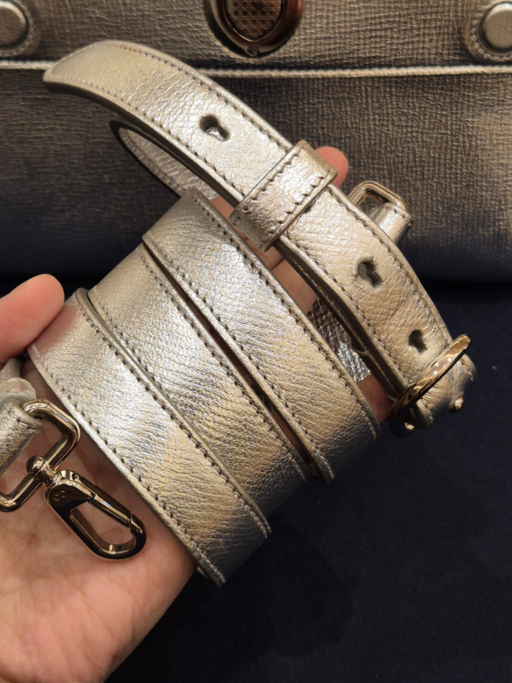 Diorever Mini Top Handle SIlver