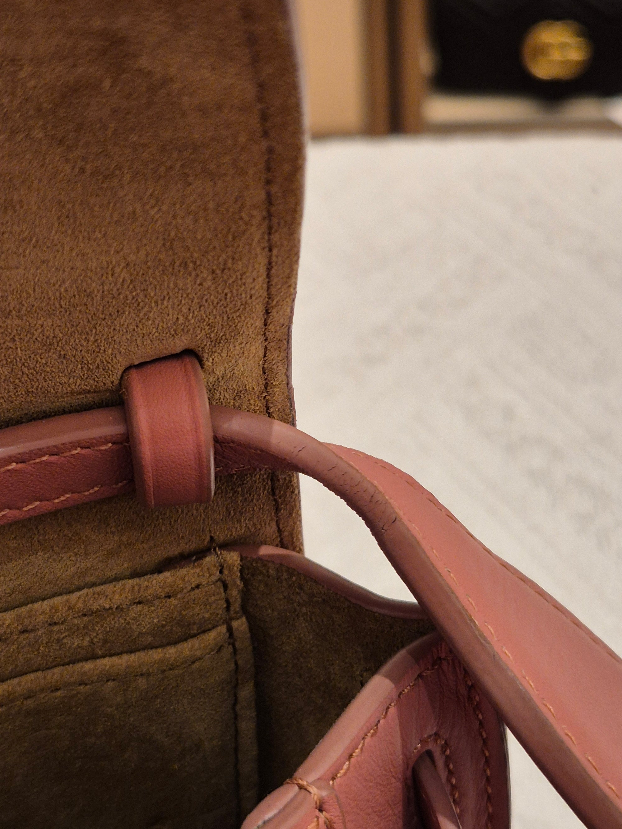 Loewe Mini Gate Plumrose