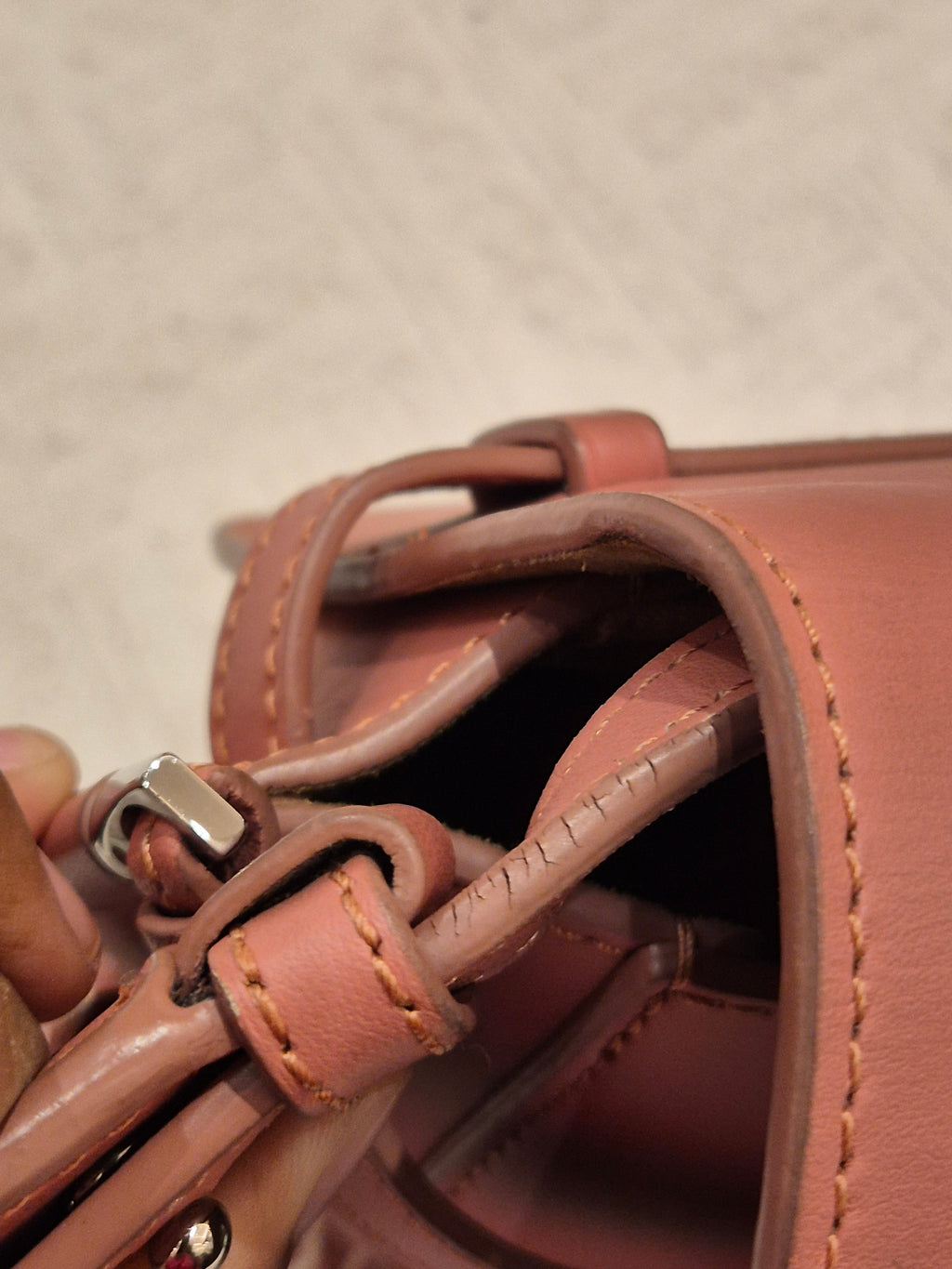 Loewe Mini Gate Plumrose