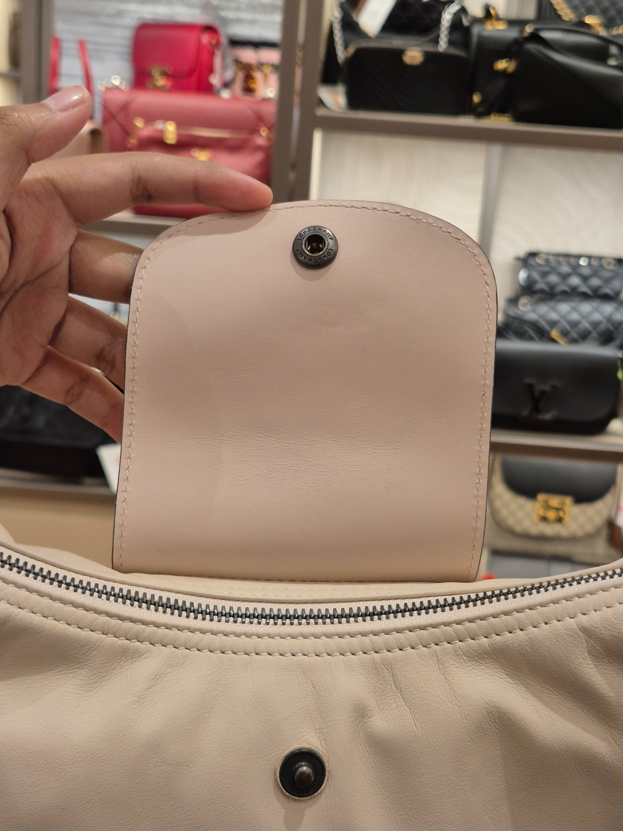 Longchamp Hobo Le Pliage Pink