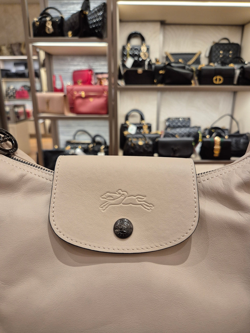 Longchamp Hobo Le Pliage Pink