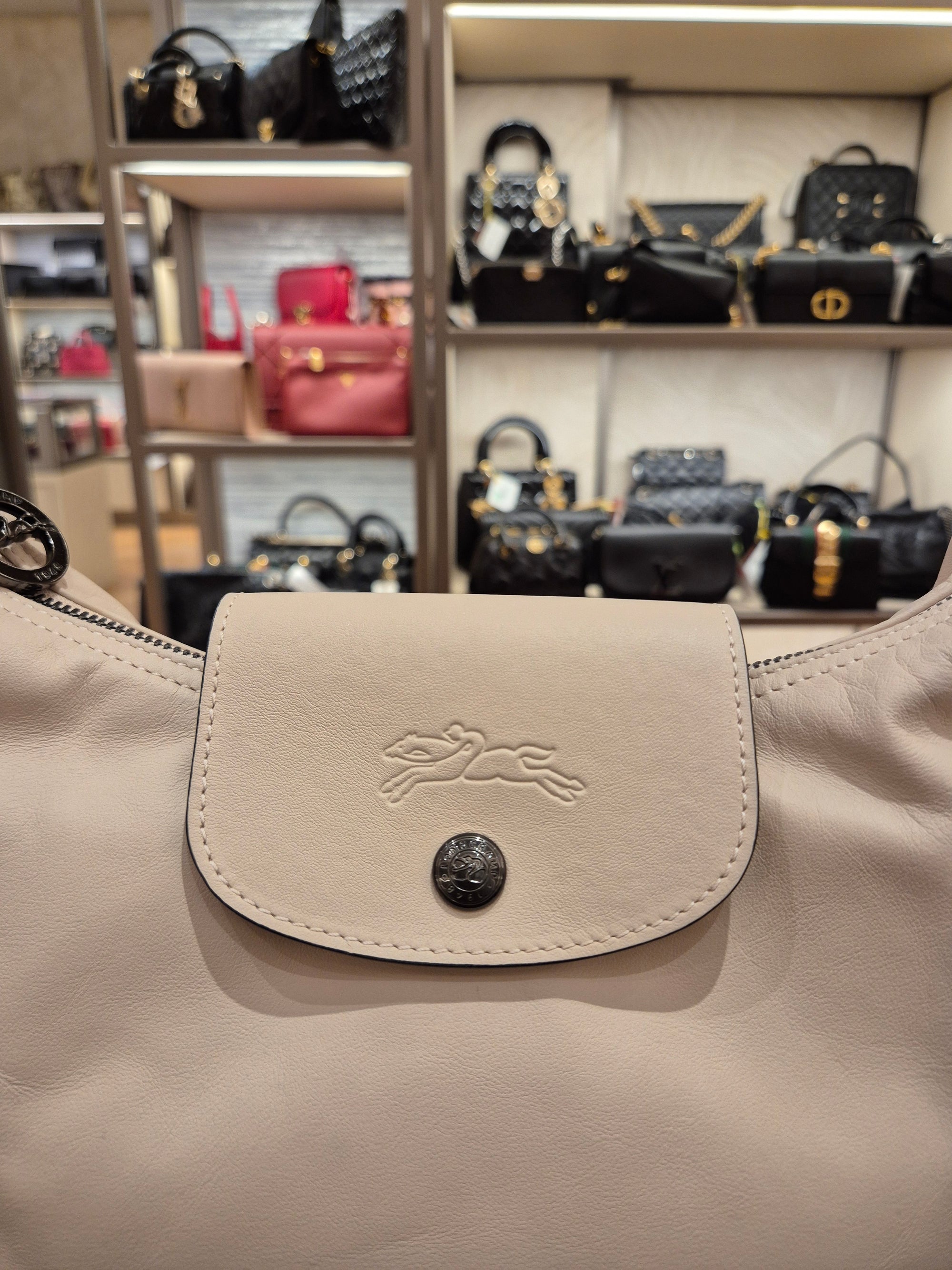 Longchamp Hobo Le Pliage Pink
