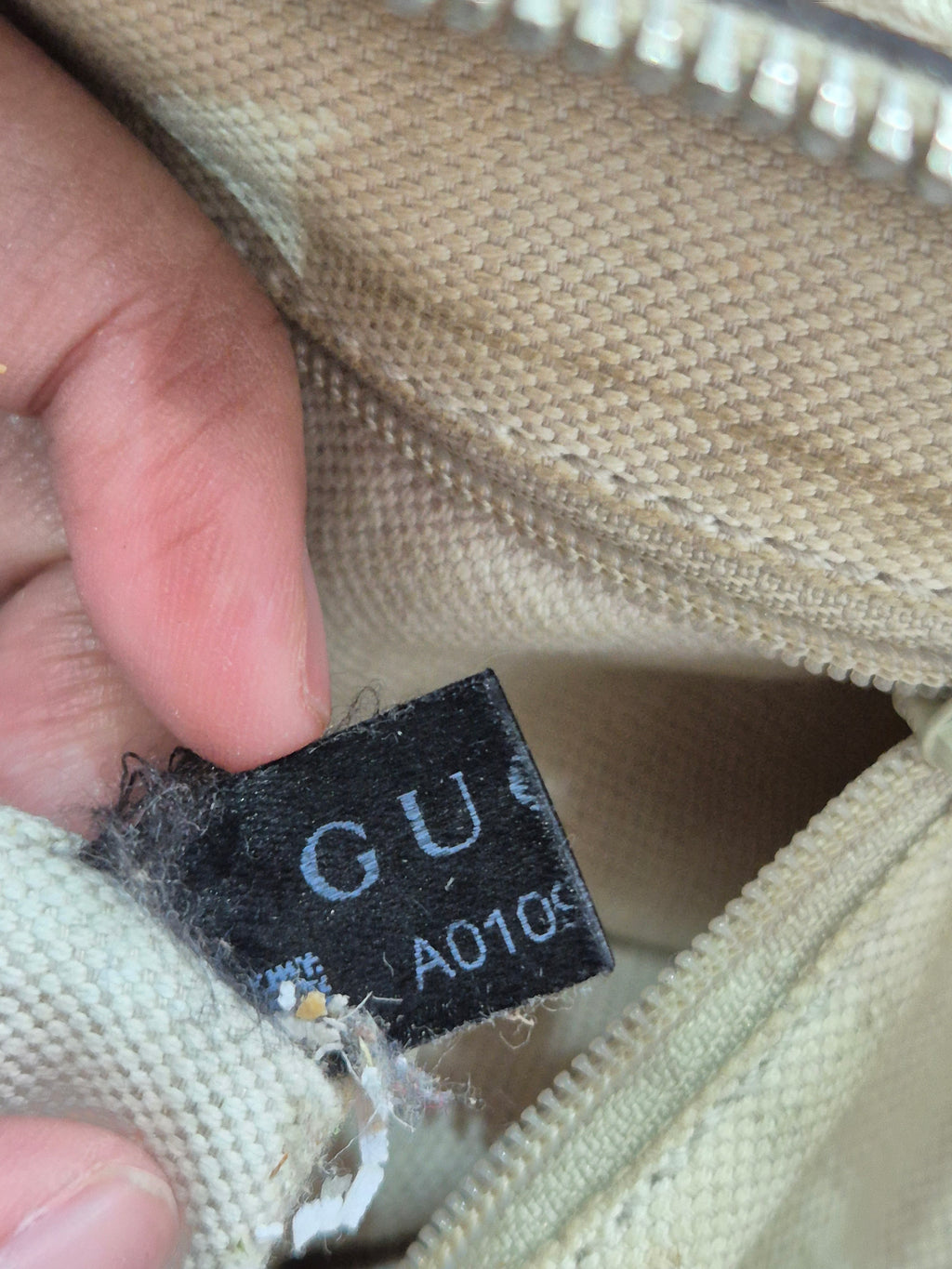 Gucci Sukey Monogram Canvas