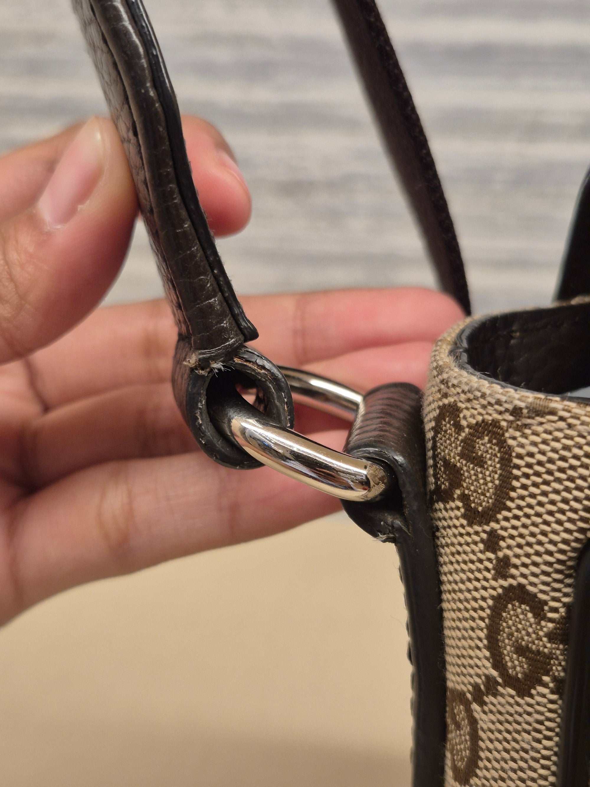 Gucci Mesenger Canvas Flap Monogram