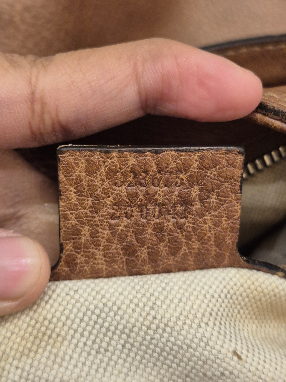 Gucci Miss GG Top Handle Brown