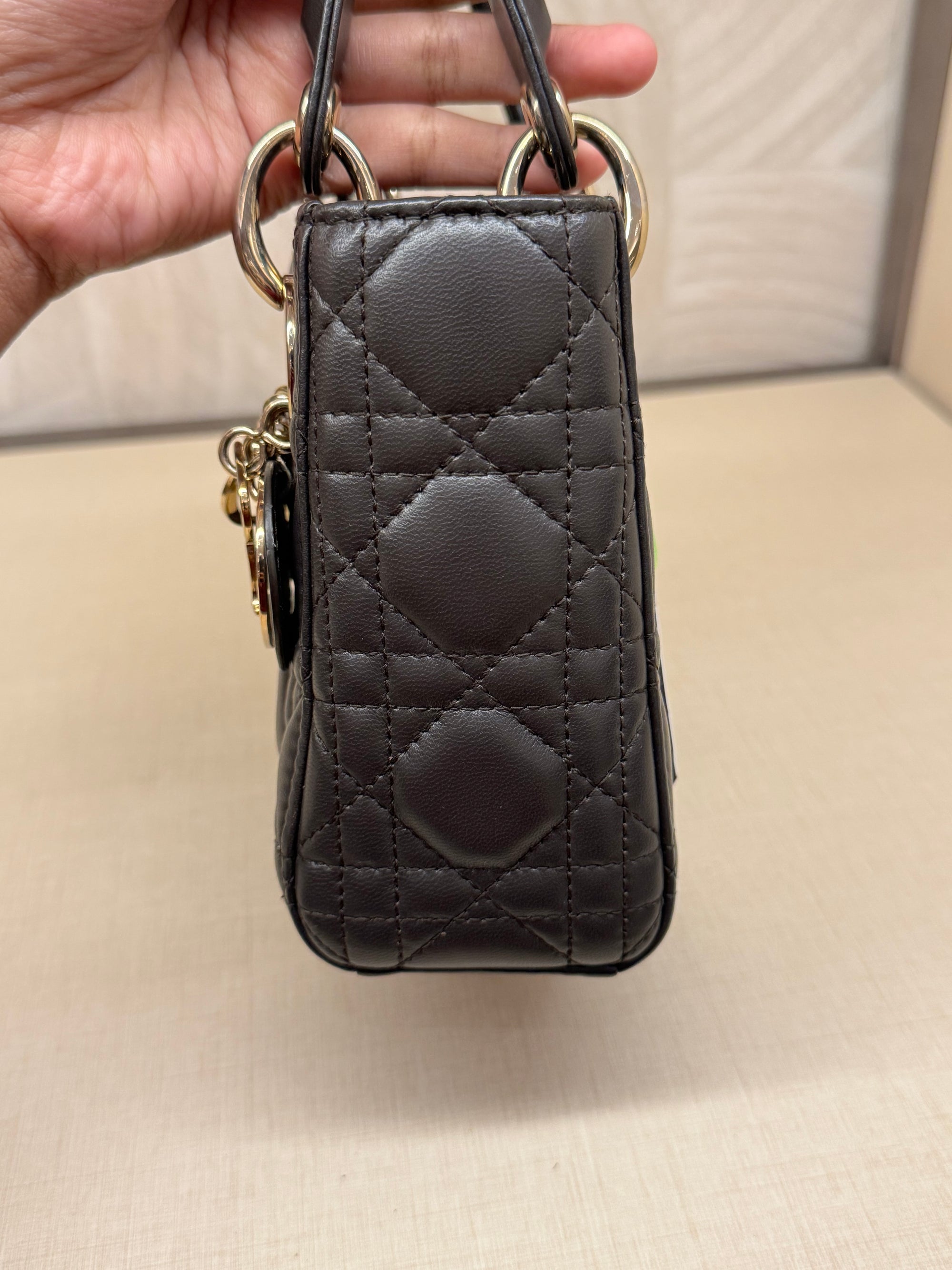 Lady Dior Mini