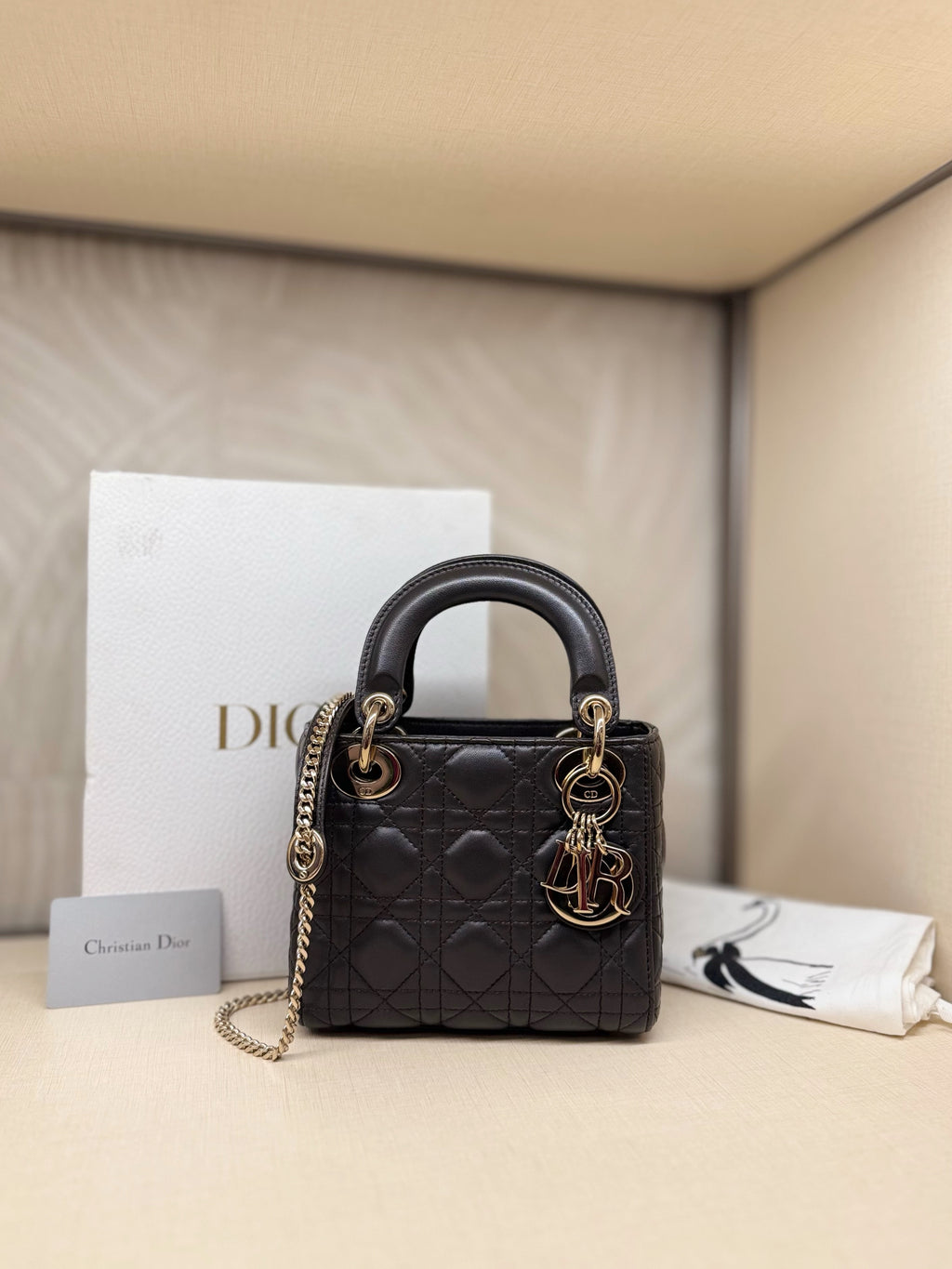 Lady Dior Mini