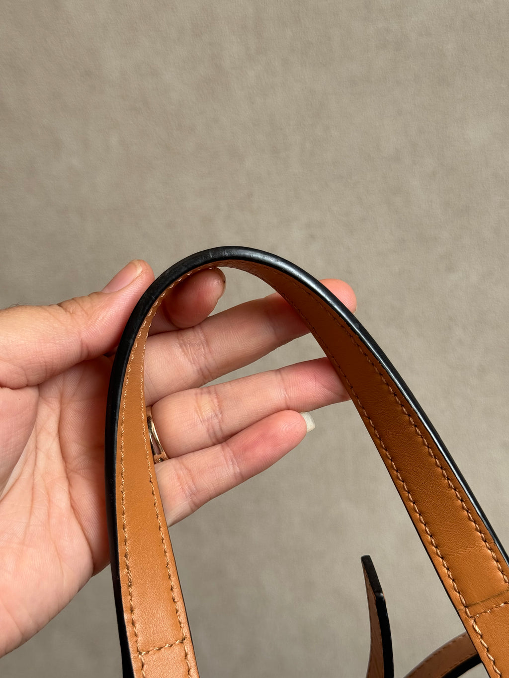 Loewe Baloon Bucket Canvas Multicolor