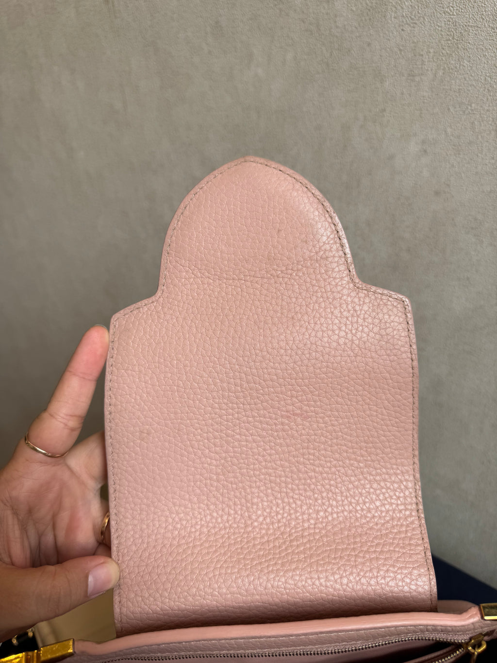 Louis Vuitton Cappucines