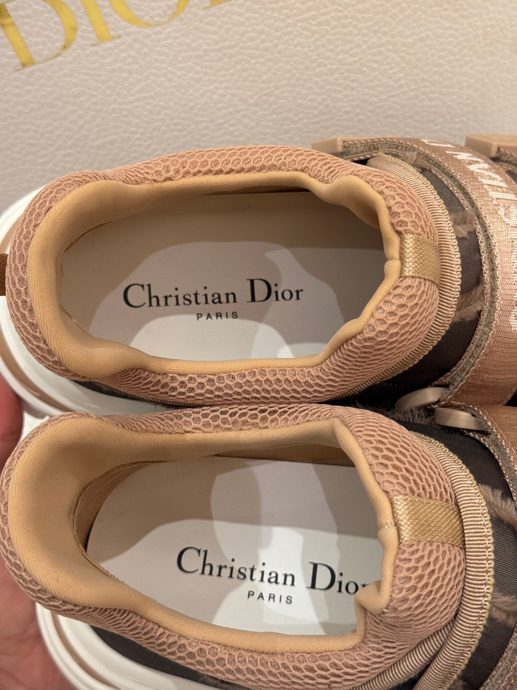 Dior D-Wander Sneakers Nude
