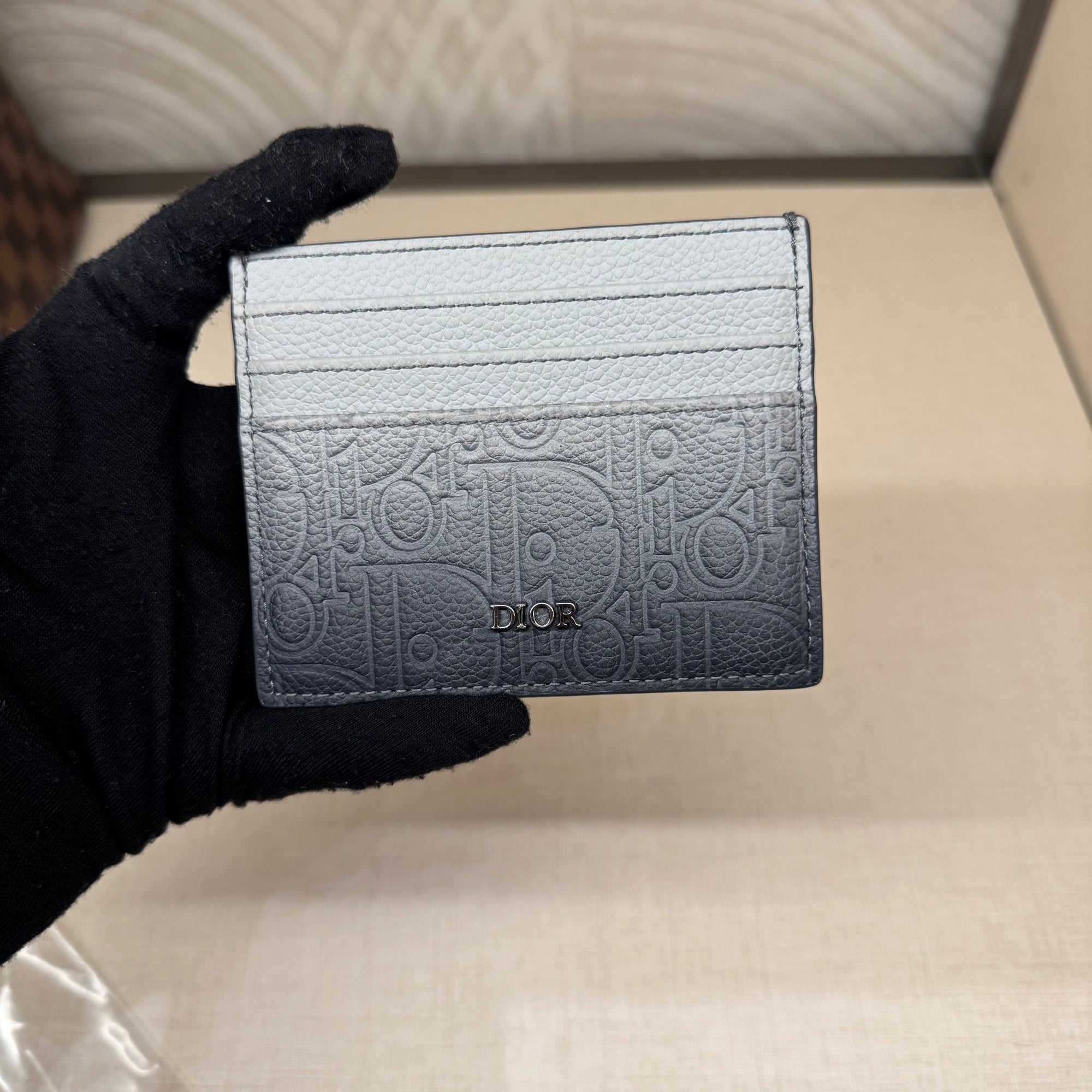 Dior Card Holder Gradient