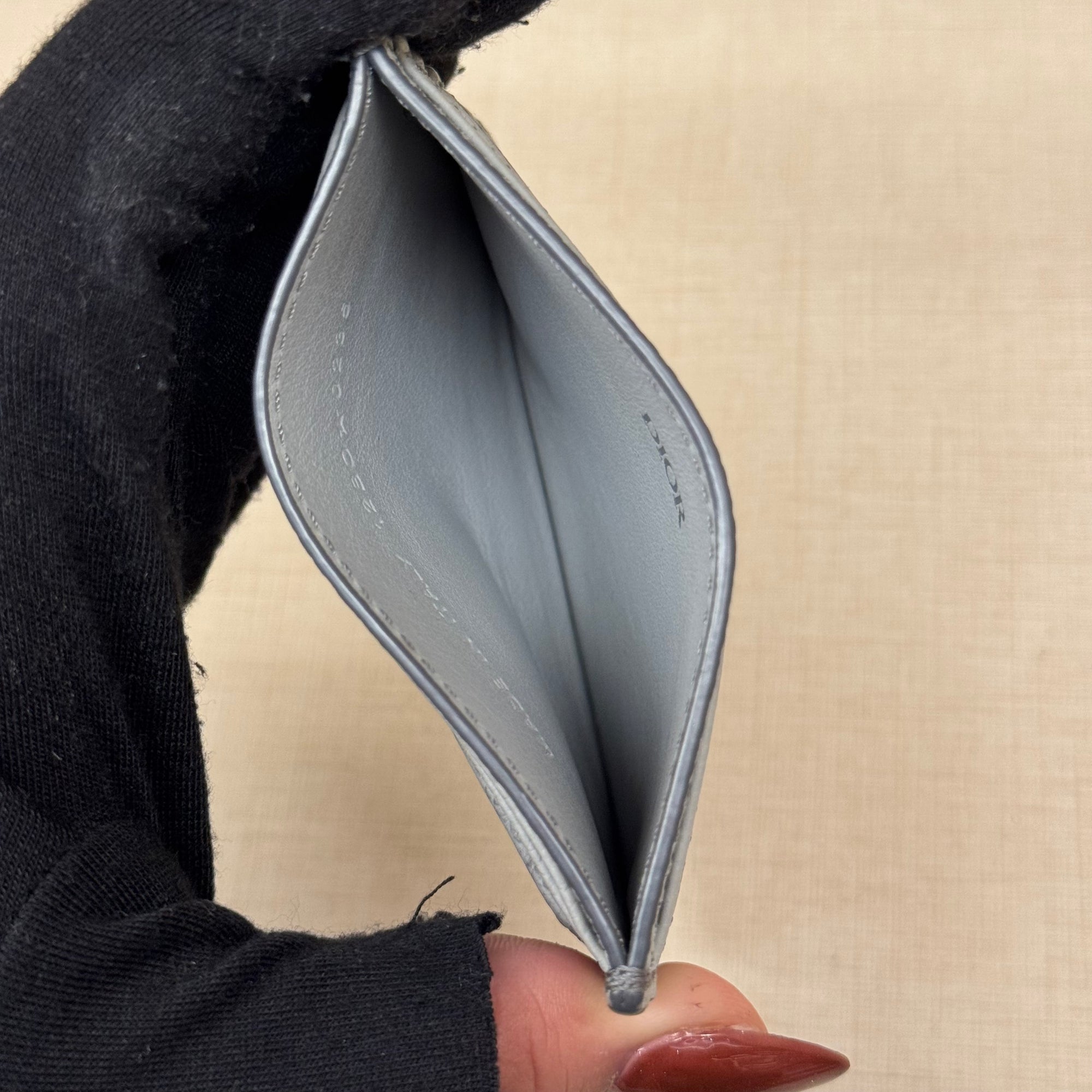 Dior Card Holder Gradient