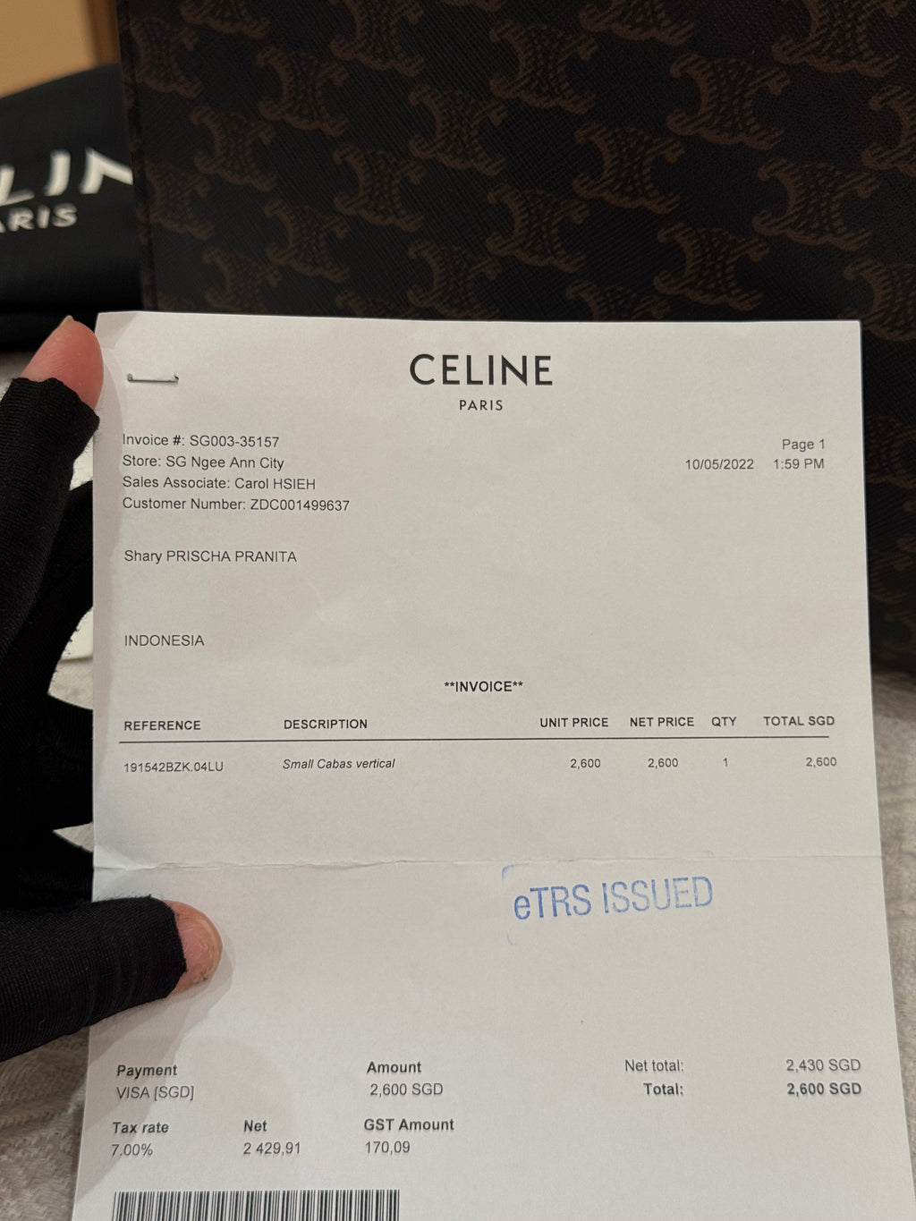 Celine Small Cabas Vertical Triomphe