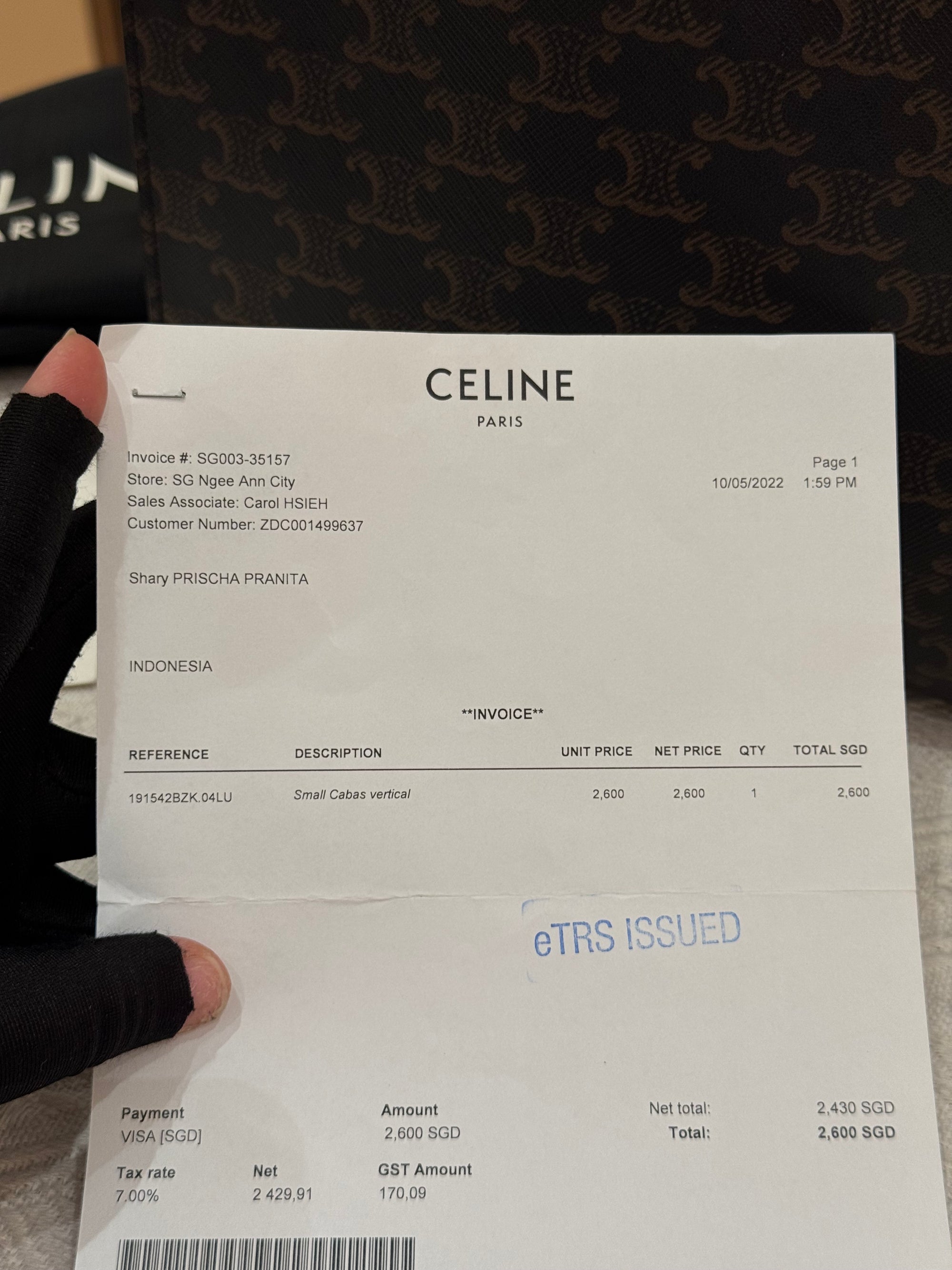 Celine Small Cabas Vertical Triomphe