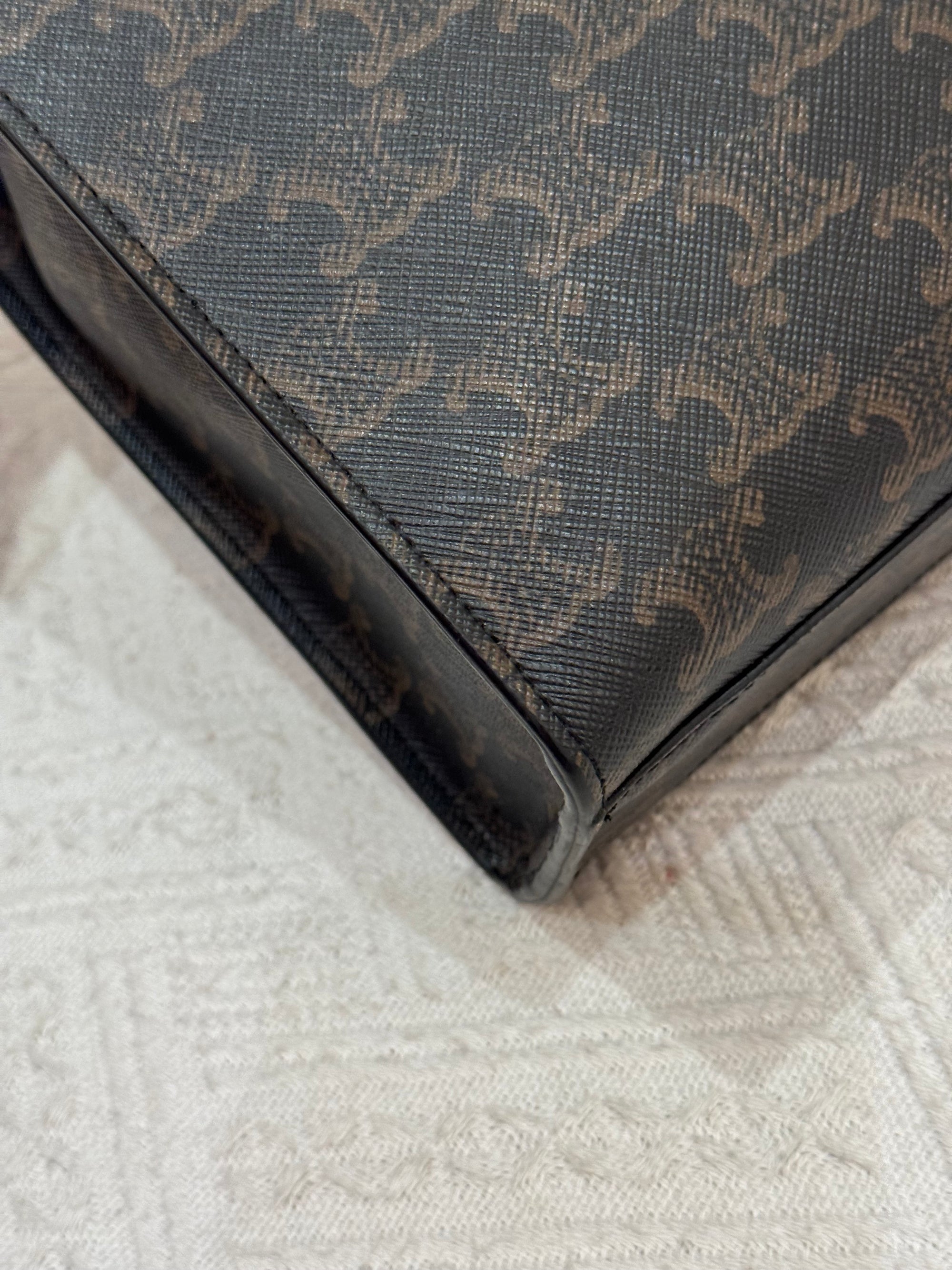 Celine Small Cabas Vertical Triomphe