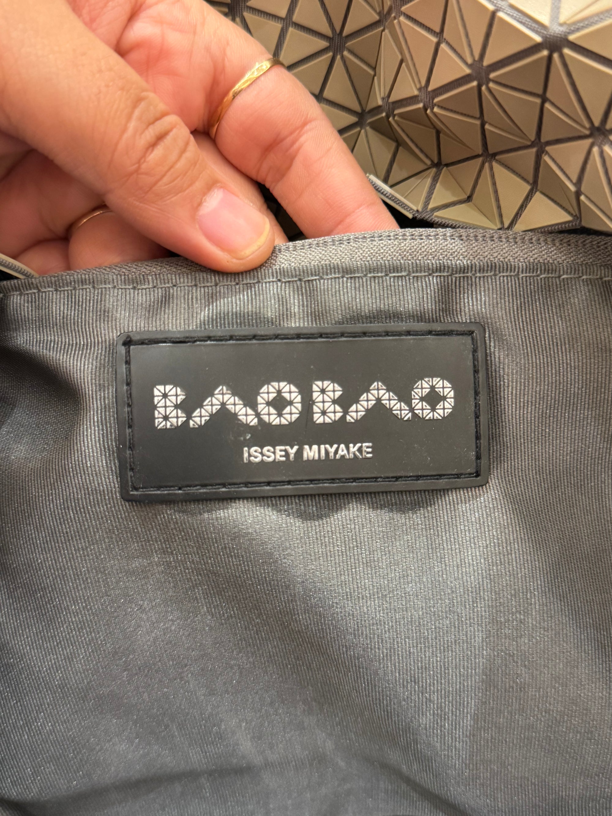 Bao Bao Backpack Multicolor