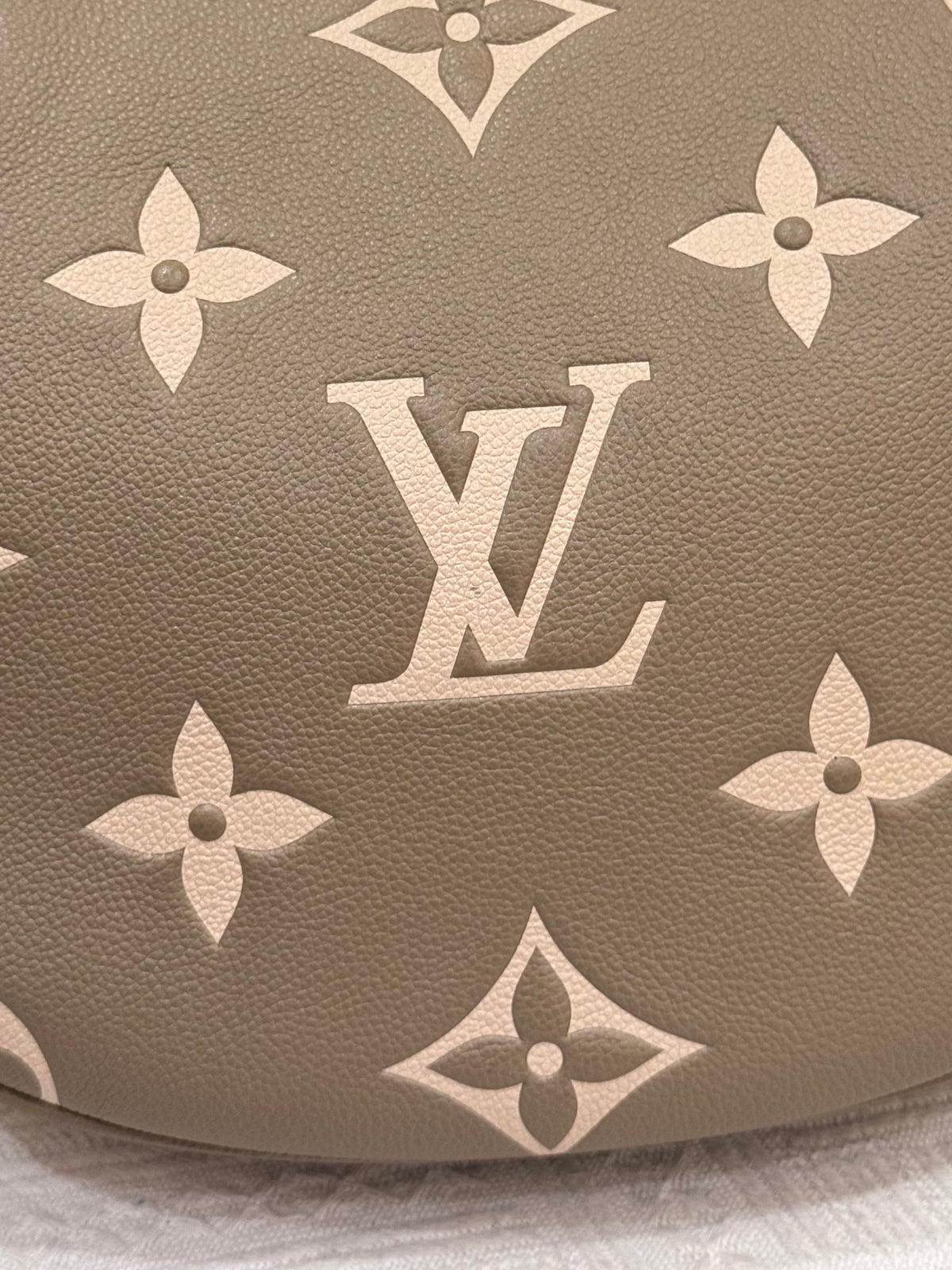 Louis Vuitton Loop Hobo Monogram Empreinte
