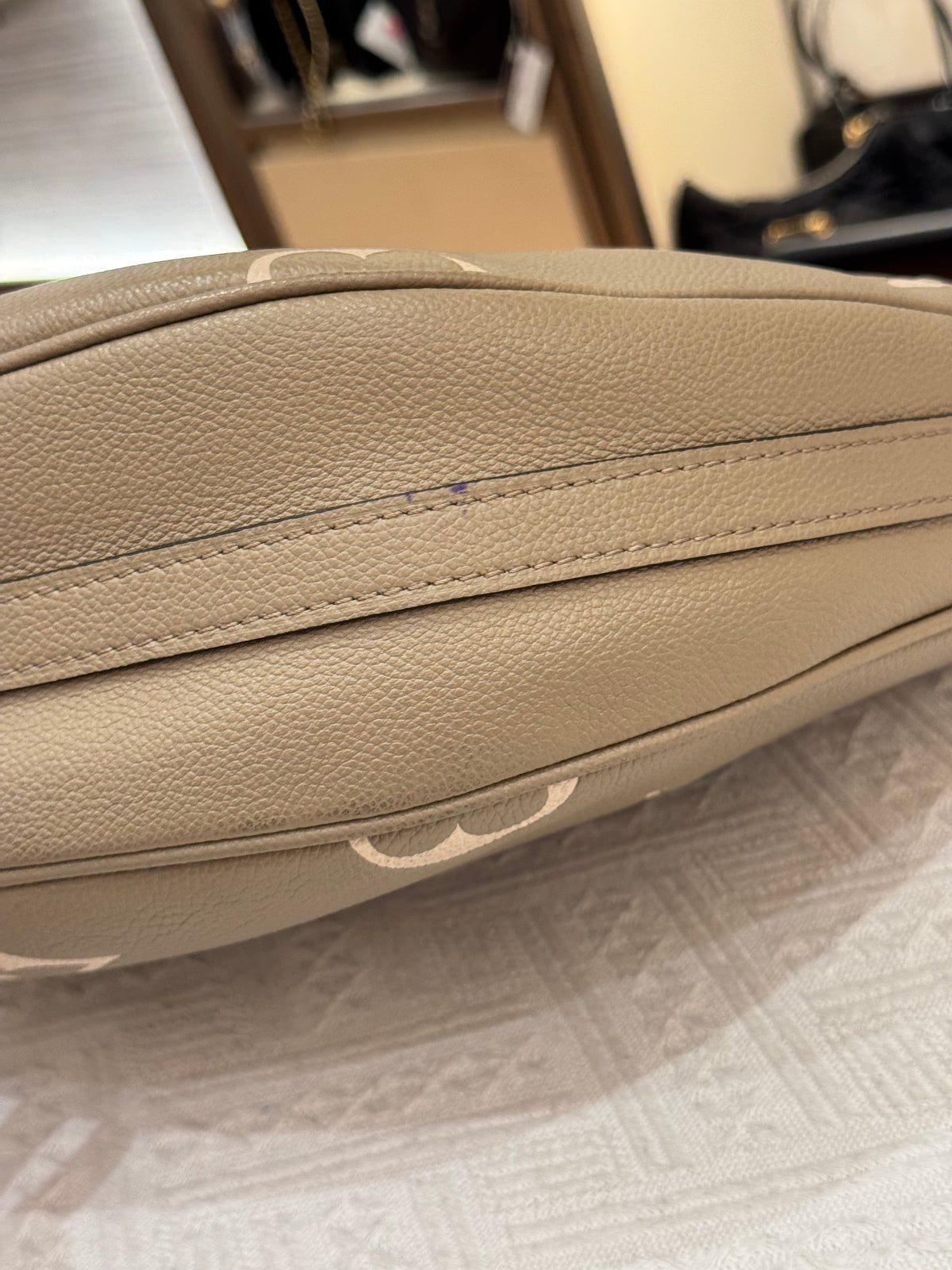 Louis Vuitton Loop Hobo Monogram Empreinte