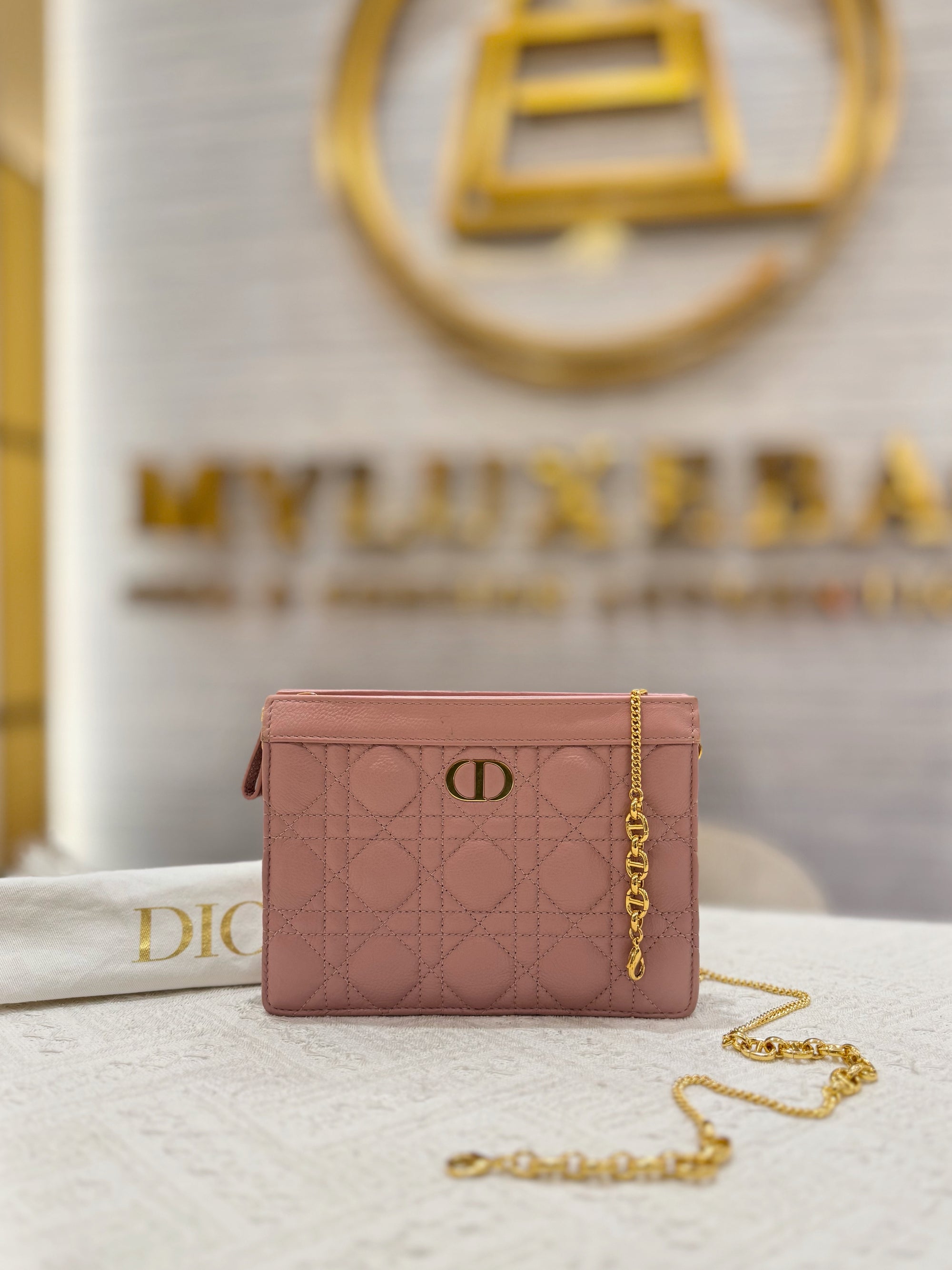 Dior Caro Pouch
