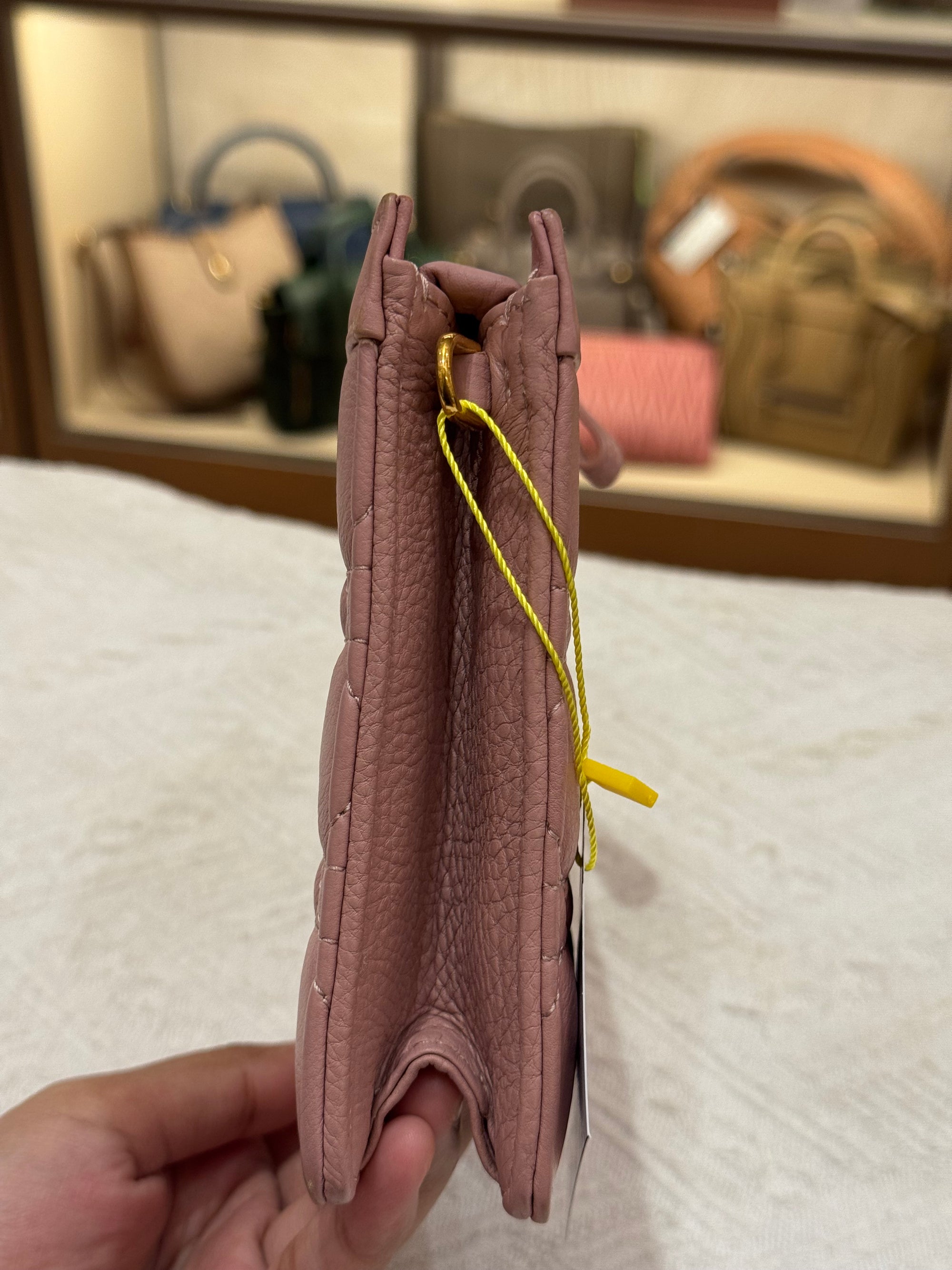 Dior Caro Pouch