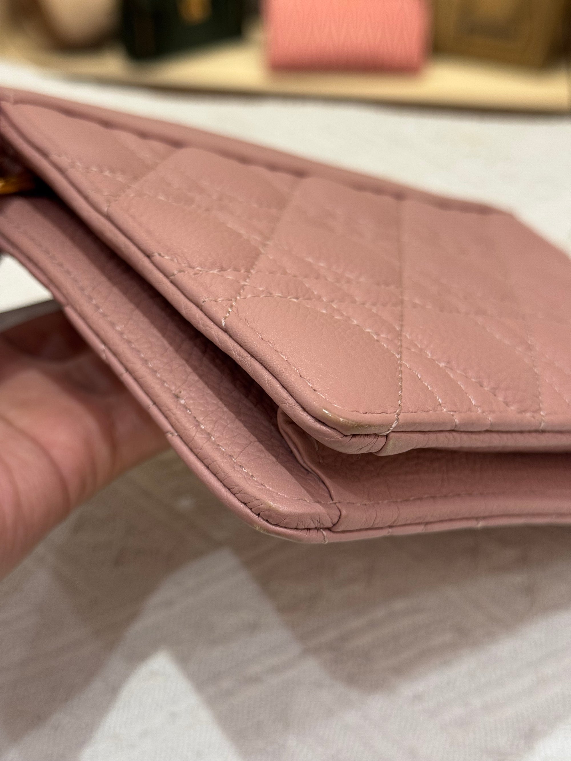 Dior Caro Pouch