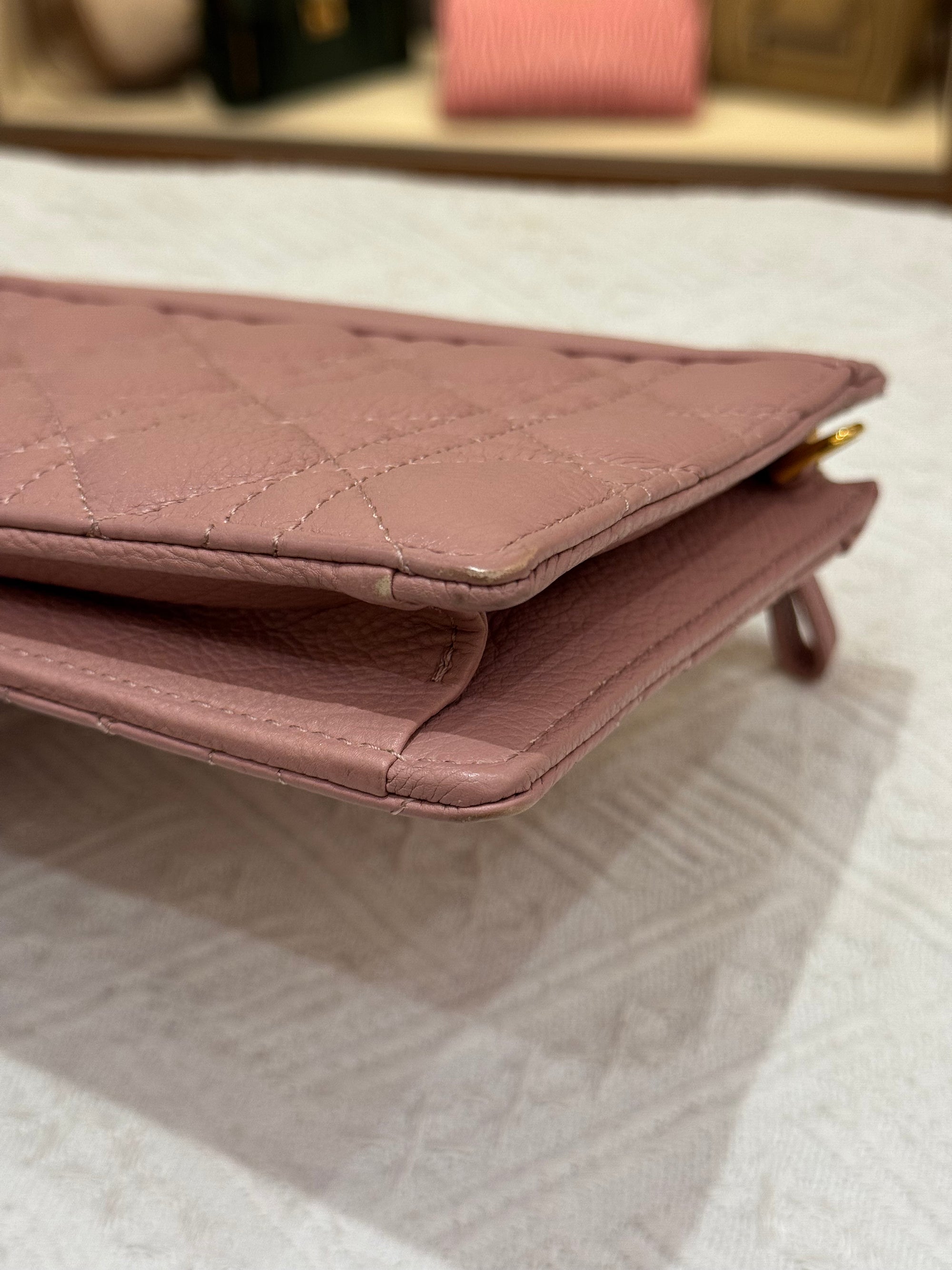 Dior Caro Pouch