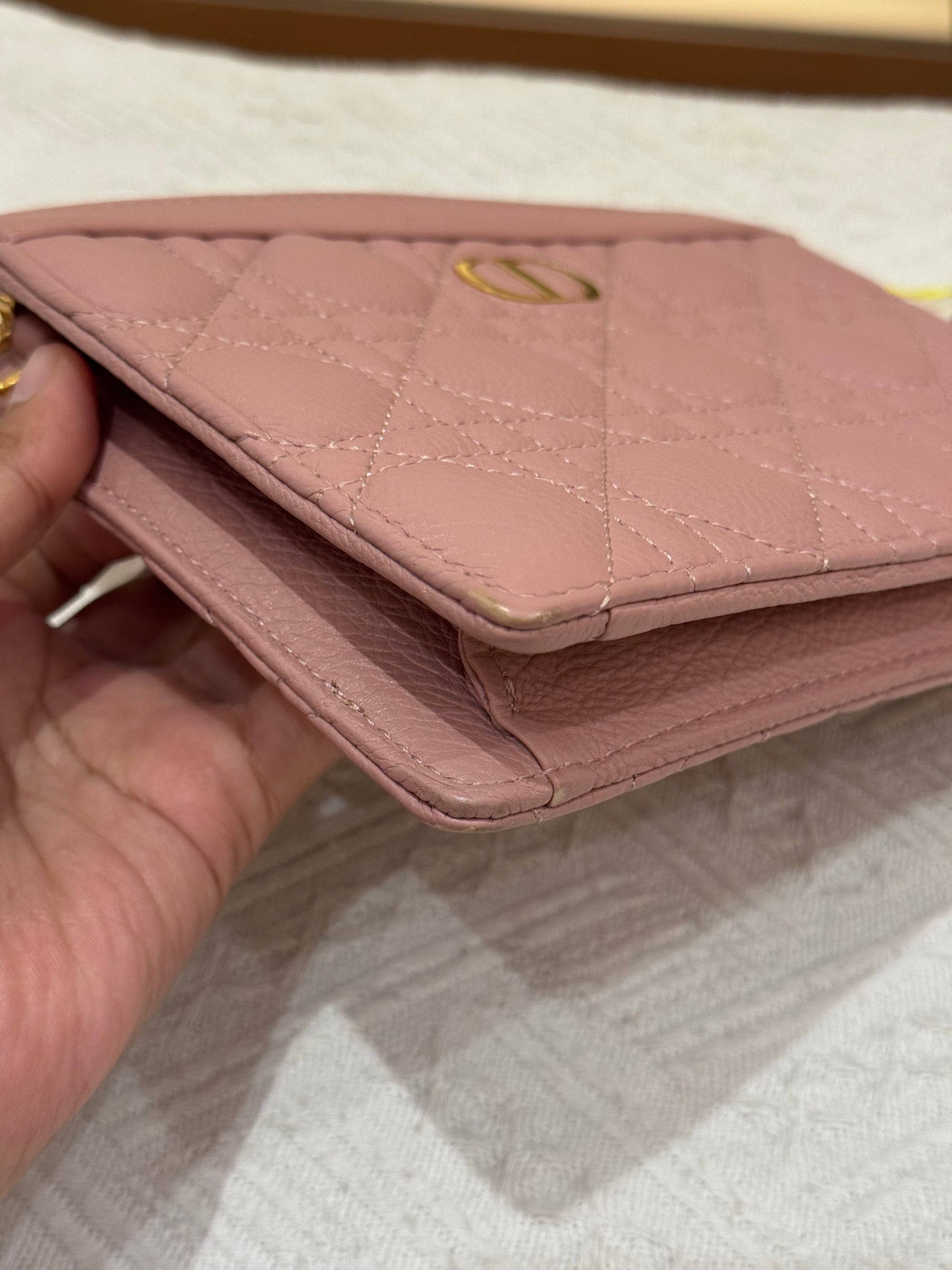 Dior Caro Pouch
