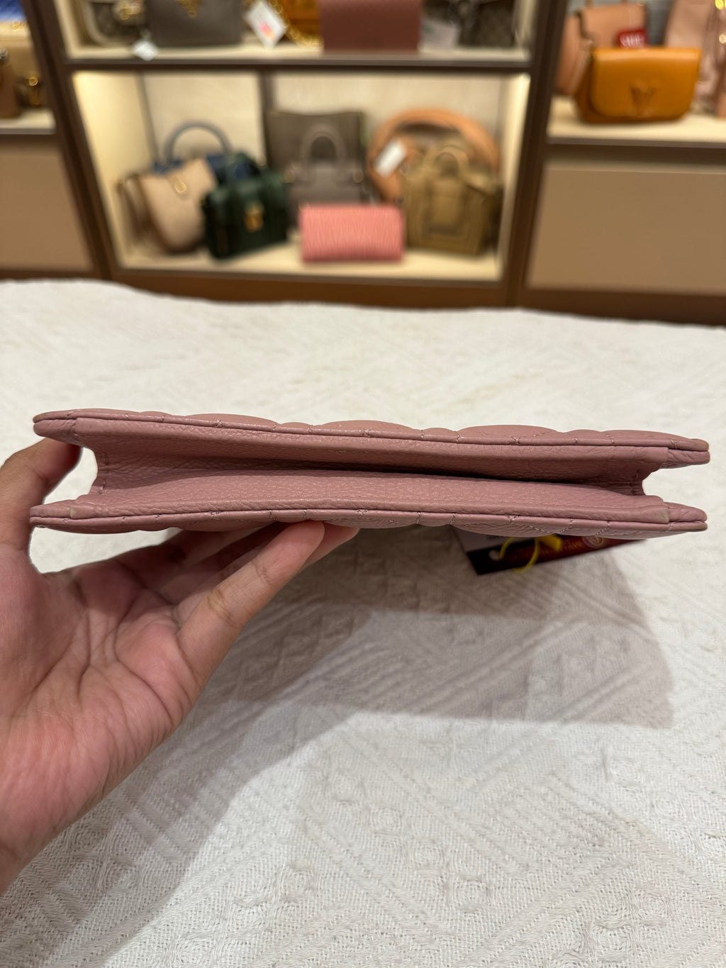 Dior Caro Pouch