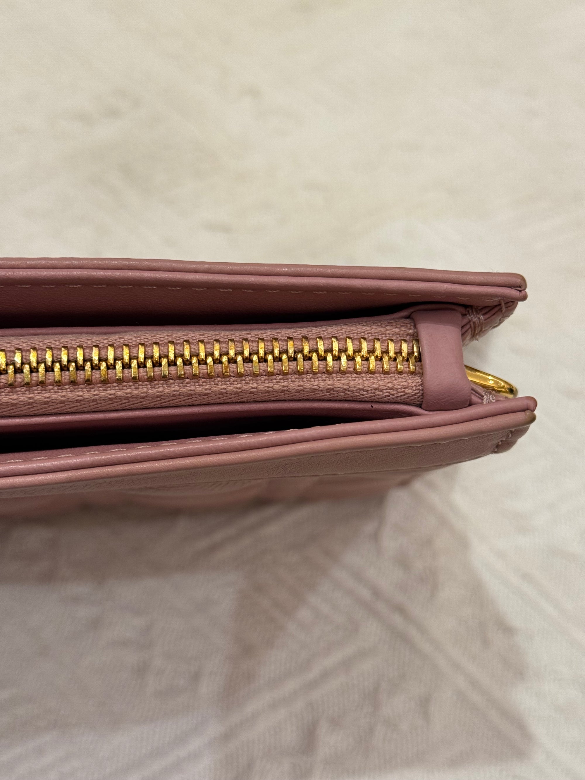 Dior Caro Pouch