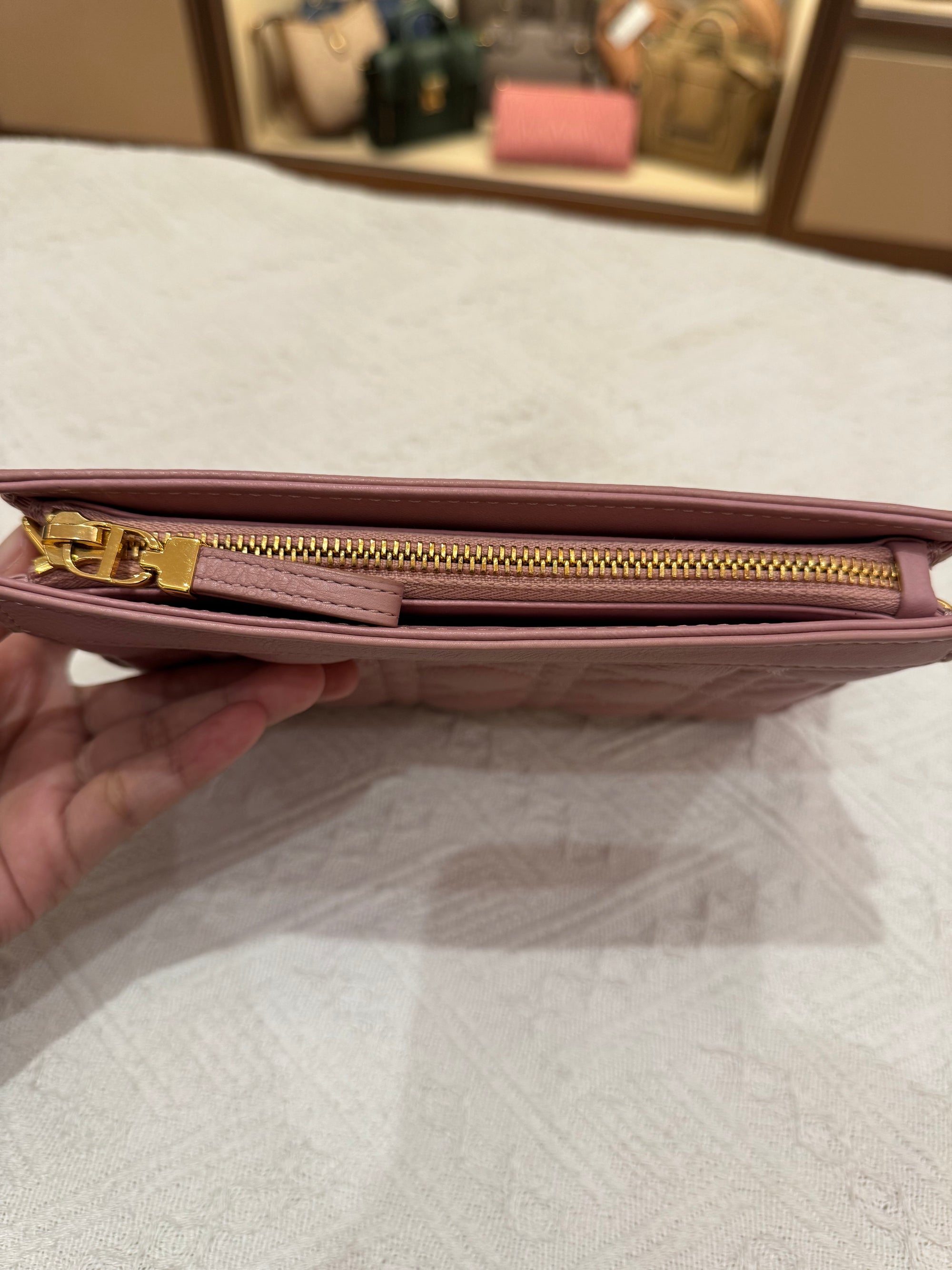 Dior Caro Pouch