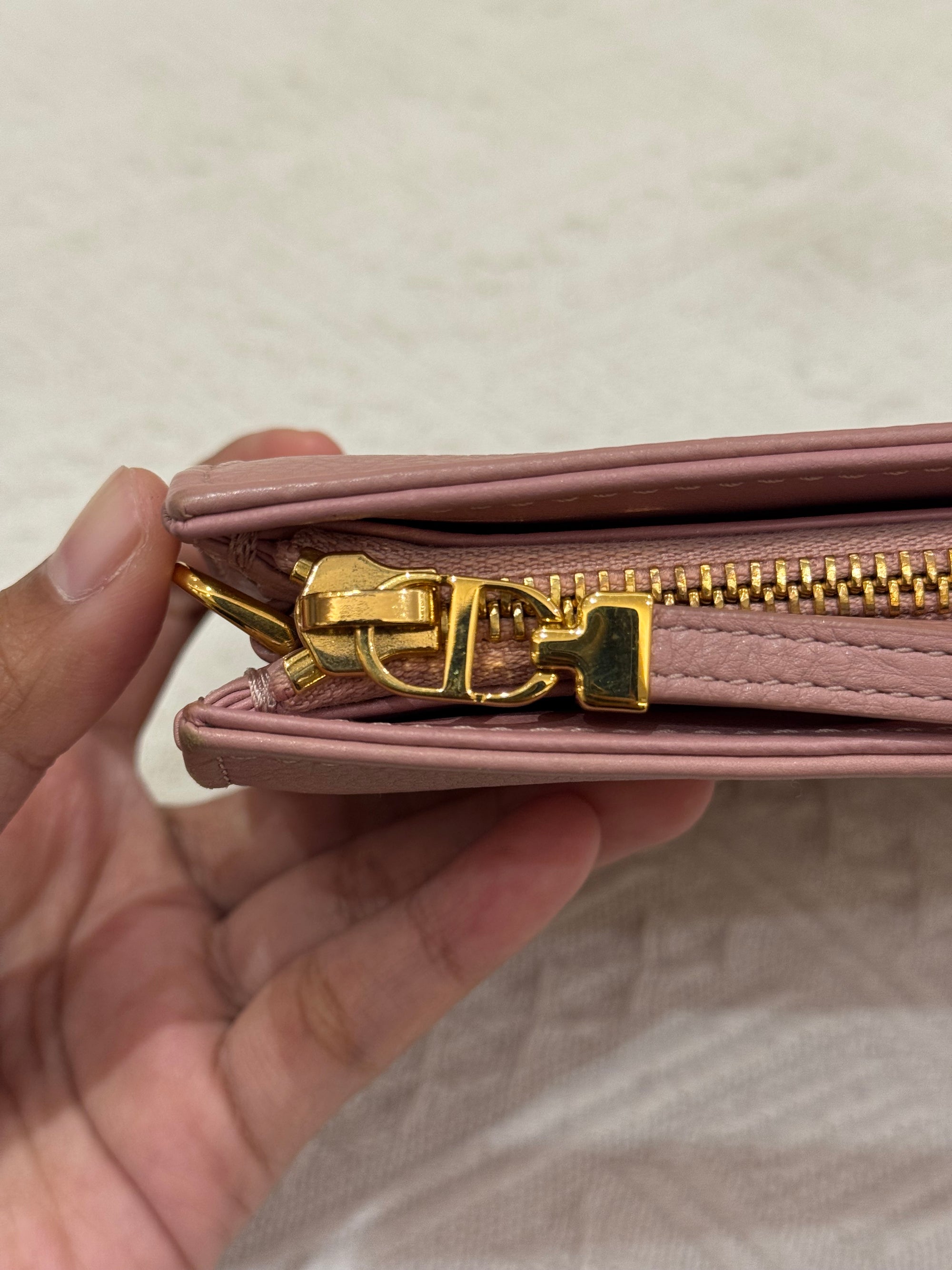 Dior Caro Pouch