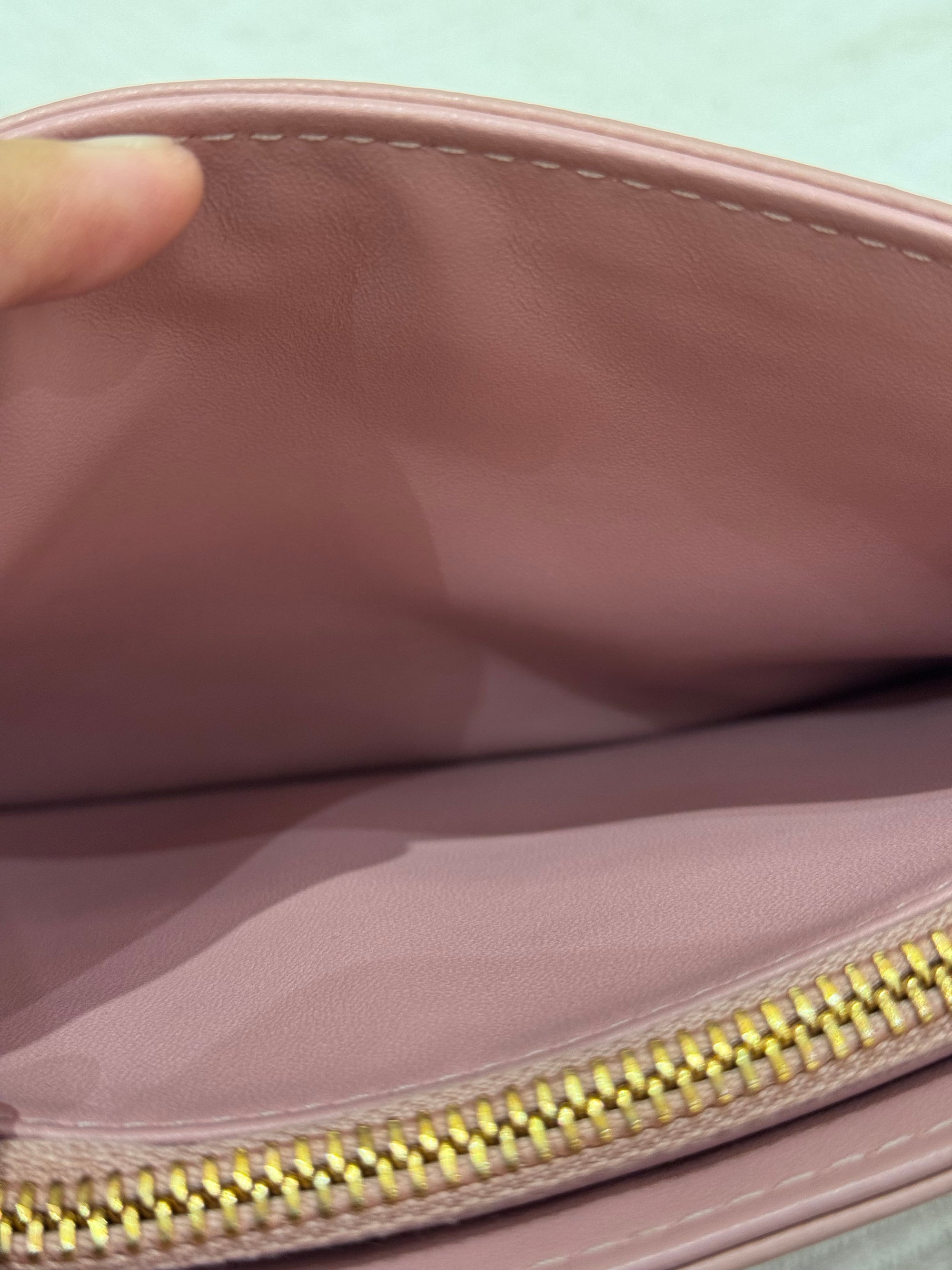 Dior Caro Pouch