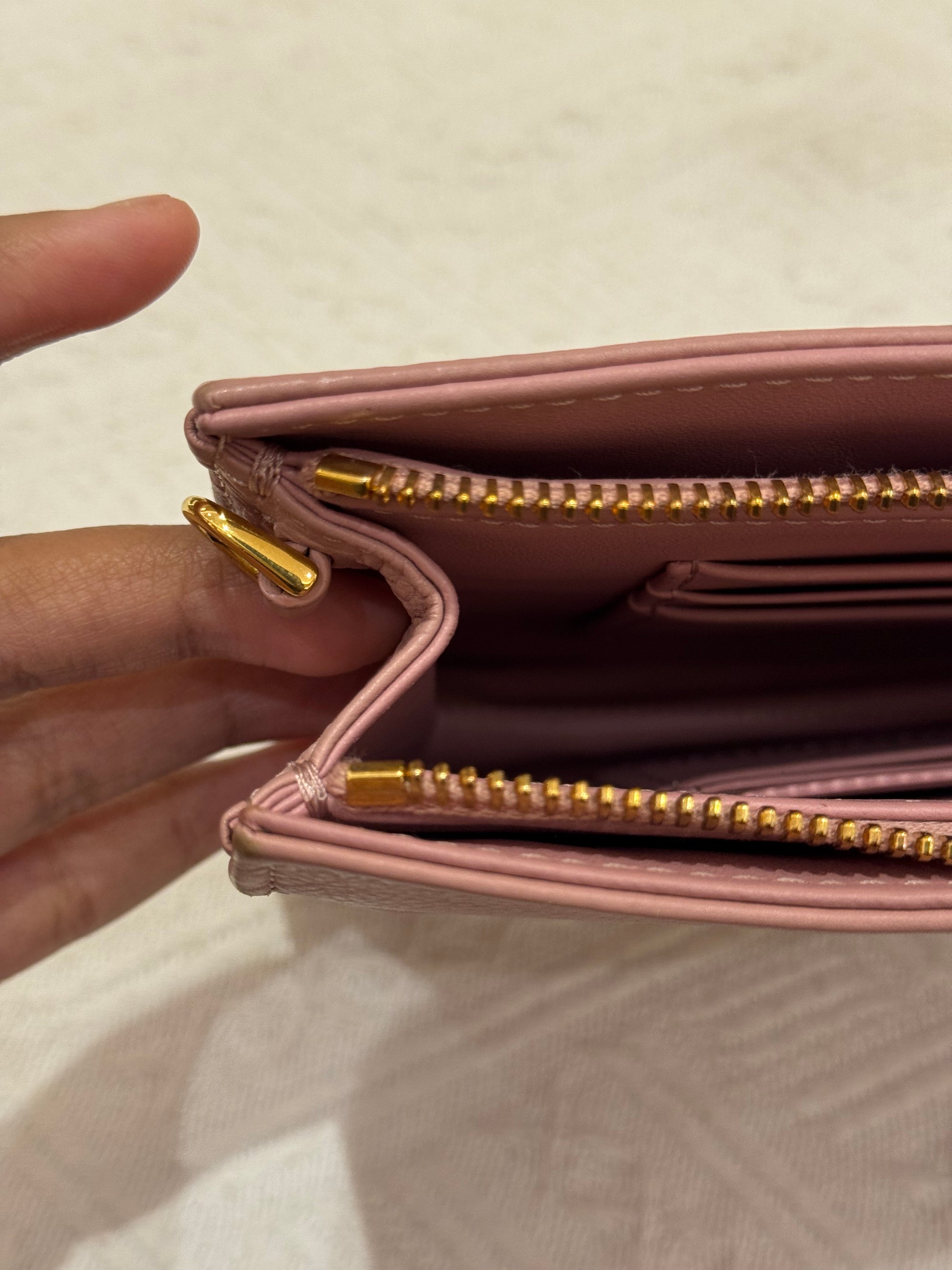 Dior Caro Pouch