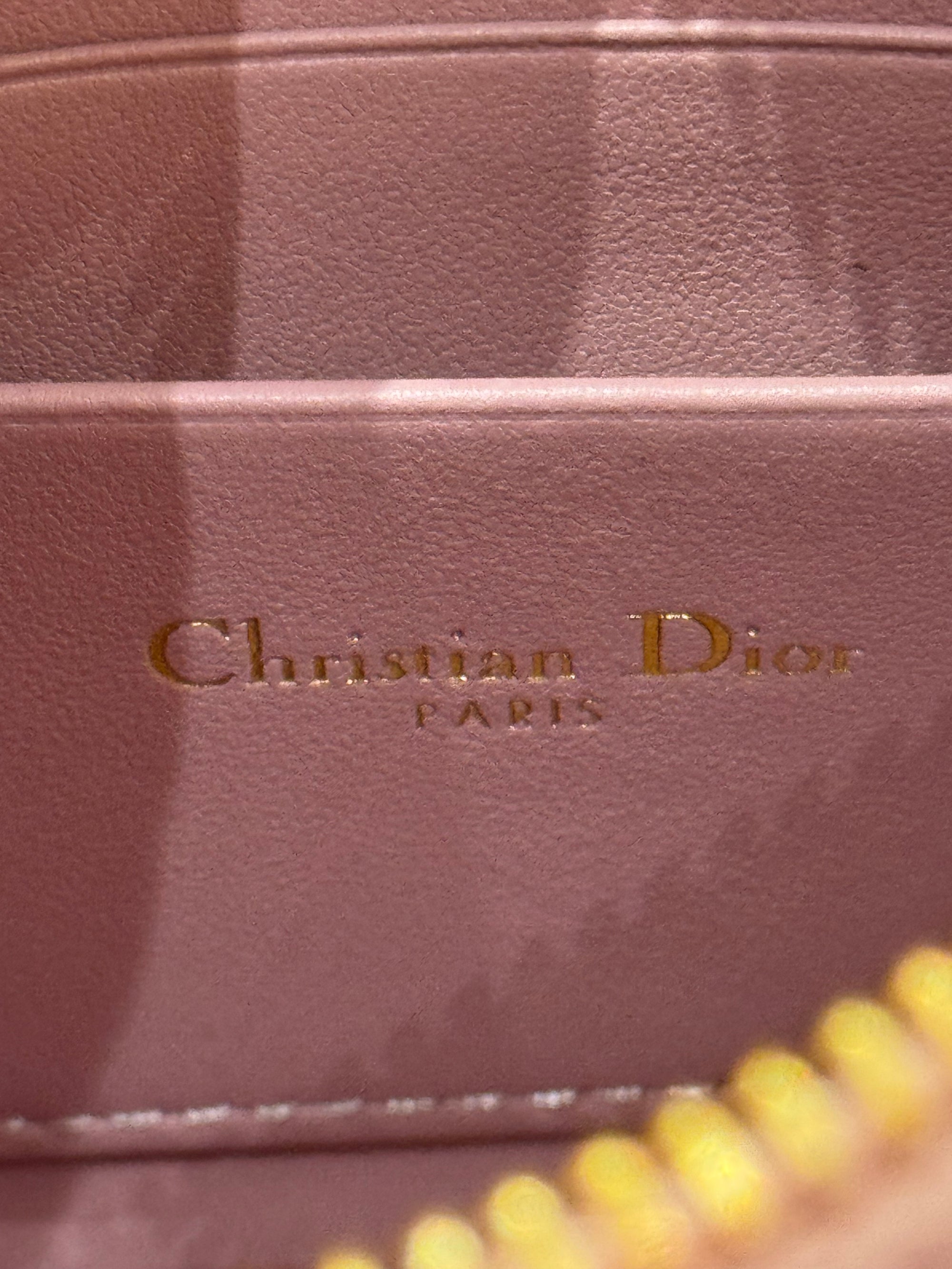 Dior Caro Pouch