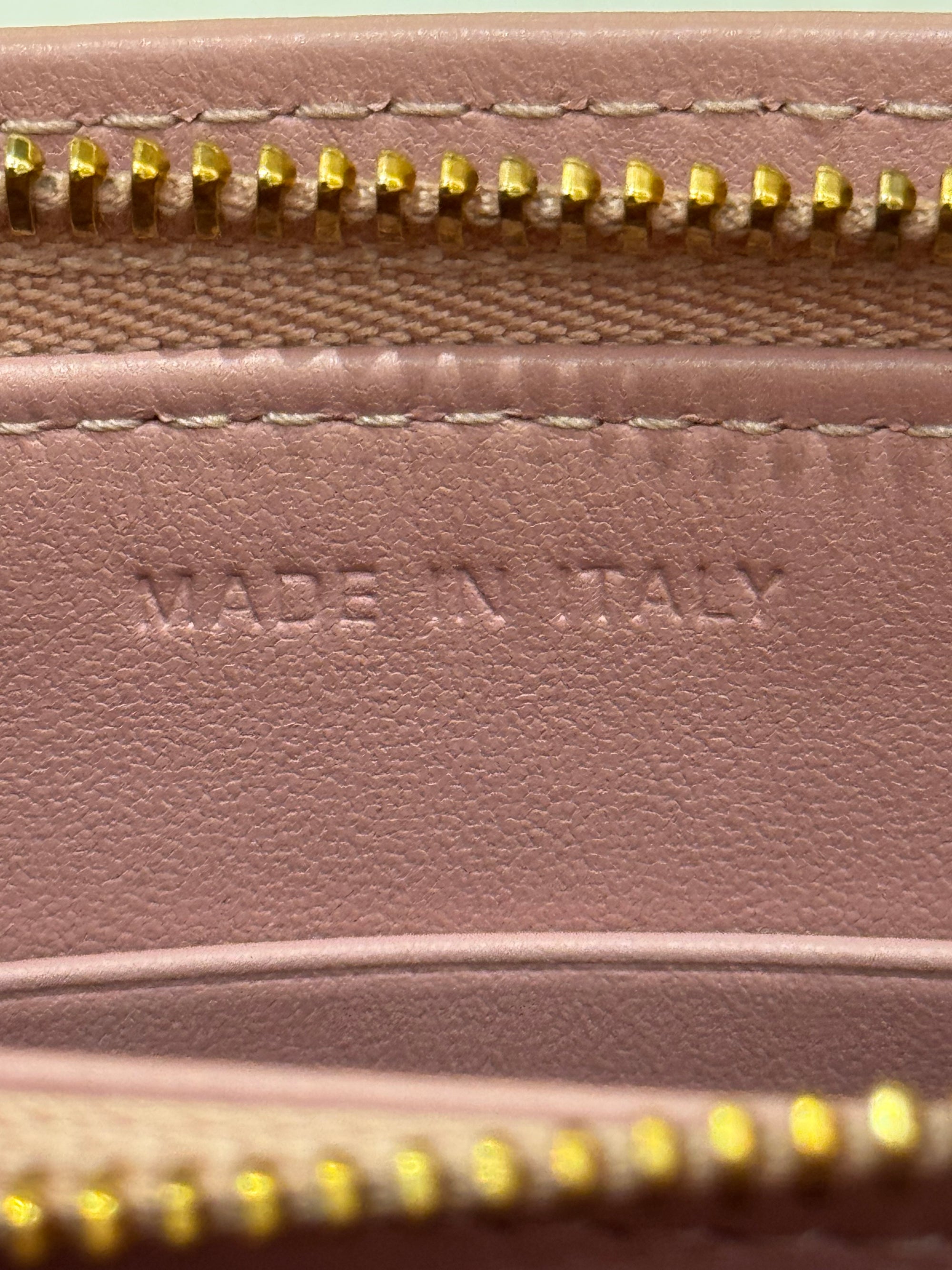 Dior Caro Pouch