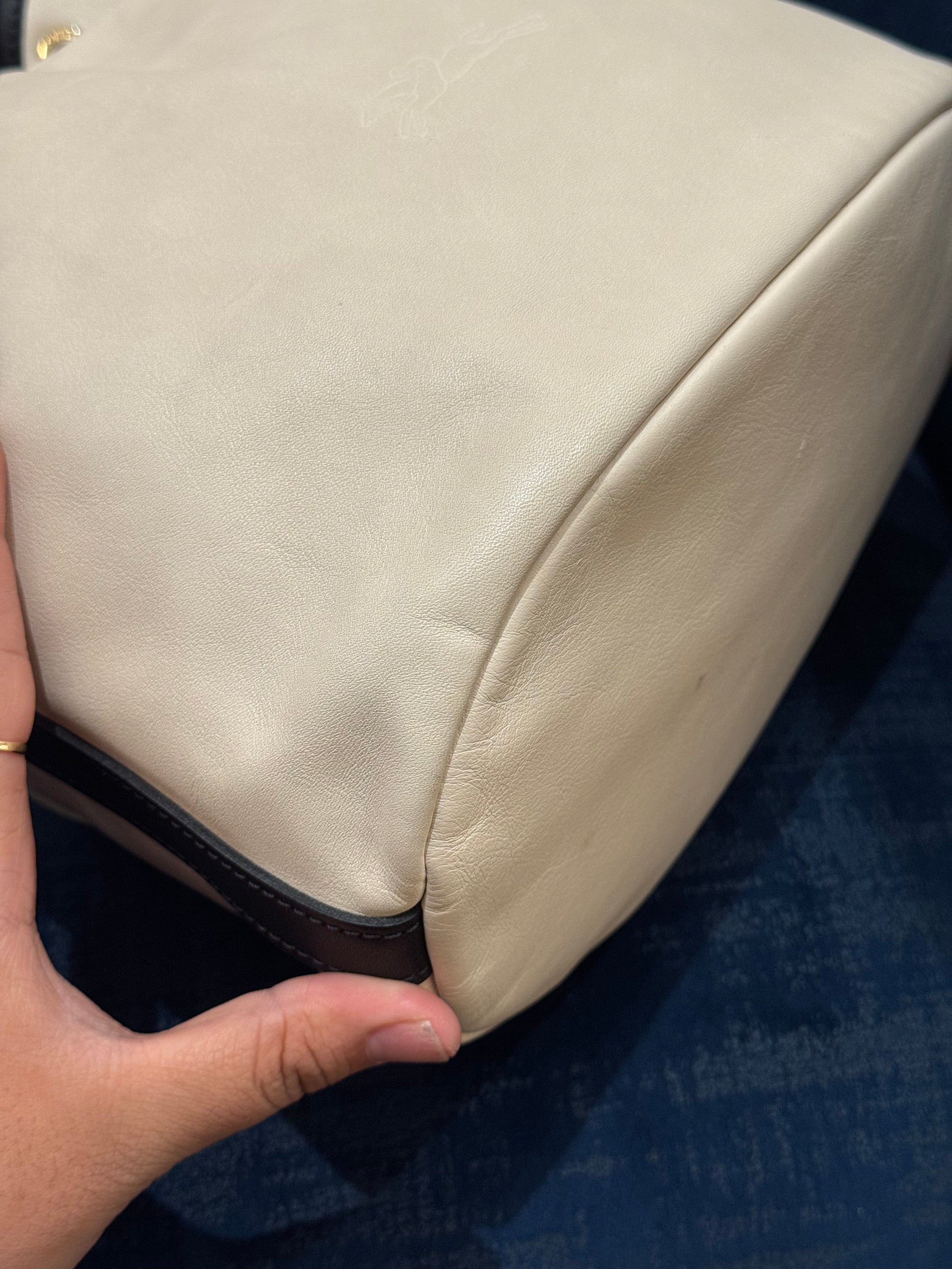 Longchamp Bucket Broken White