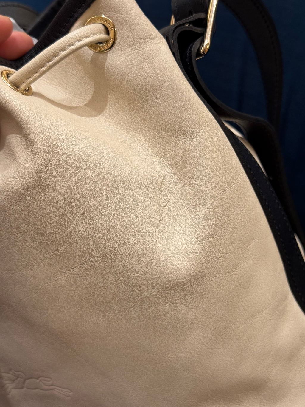 Longchamp Bucket Broken White