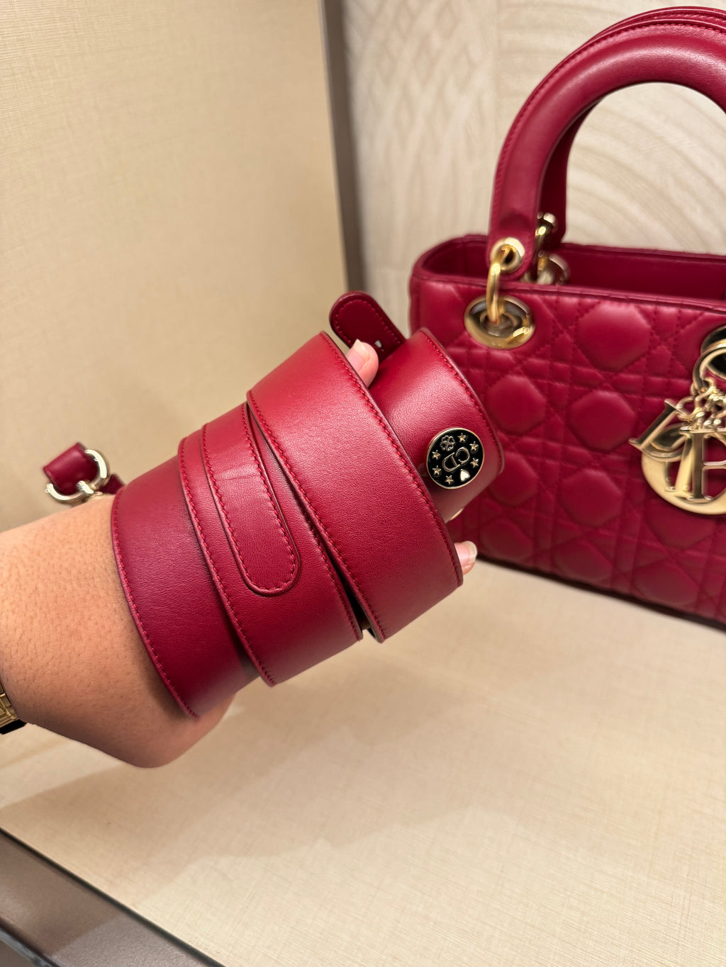 Lady Dior Small Red Strap Pin