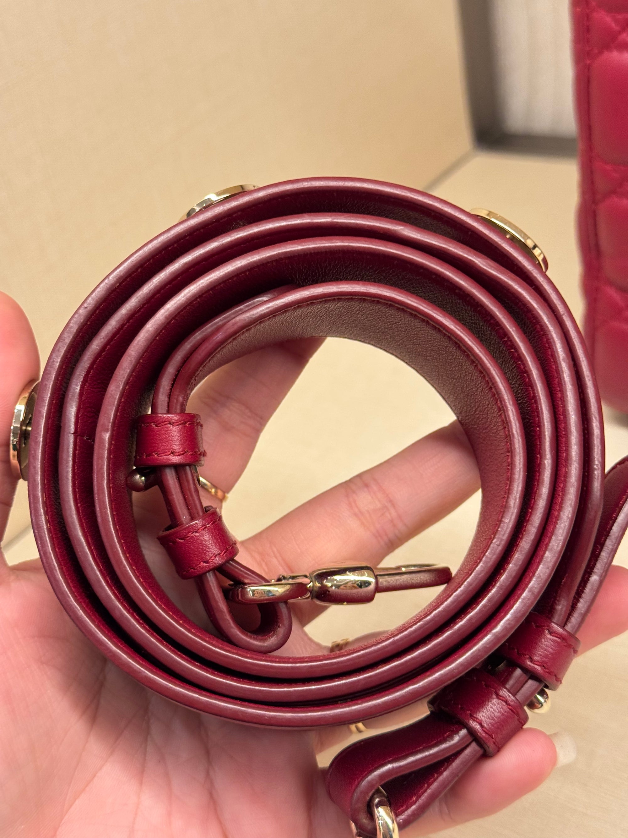 Lady Dior Small Red Strap Pin