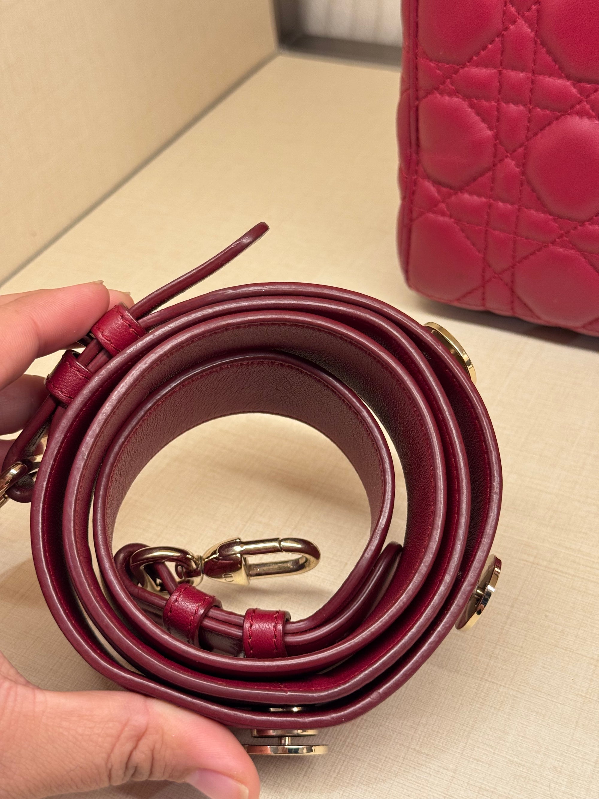 Lady Dior Small Red Strap Pin