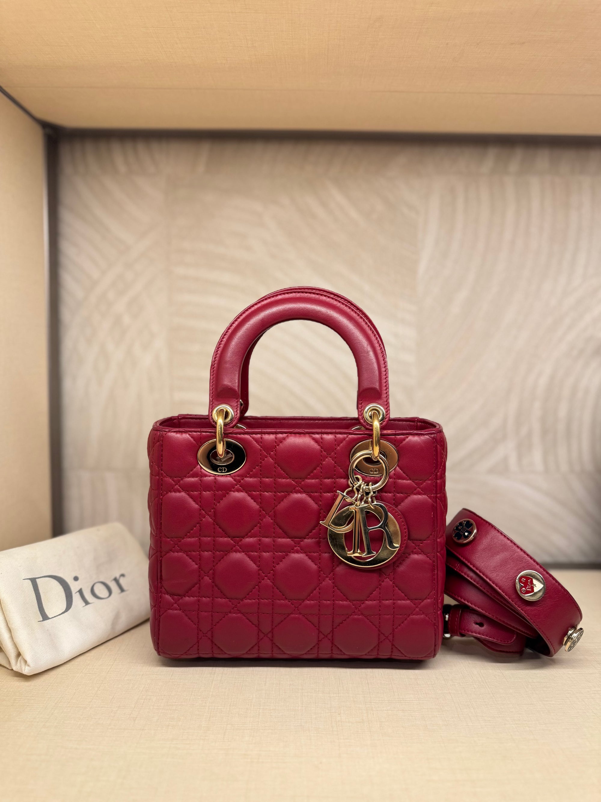 Lady Dior Small Red Strap Pin