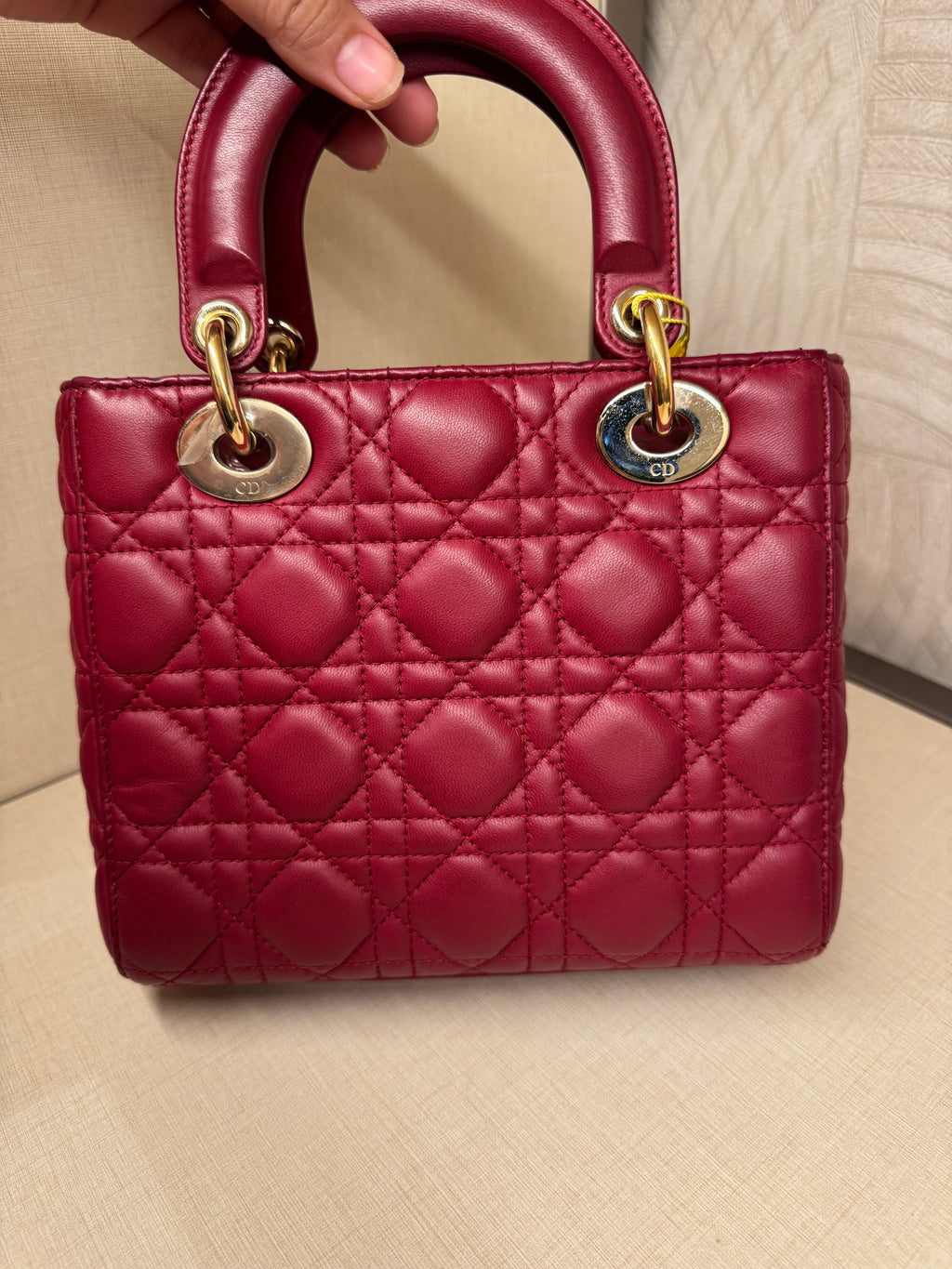 Lady Dior Small Red Strap Pin
