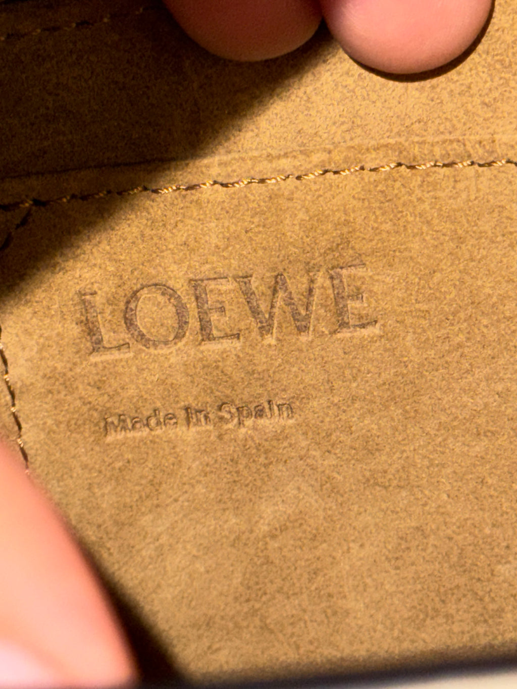 Loewe Gate Tan Multicolor