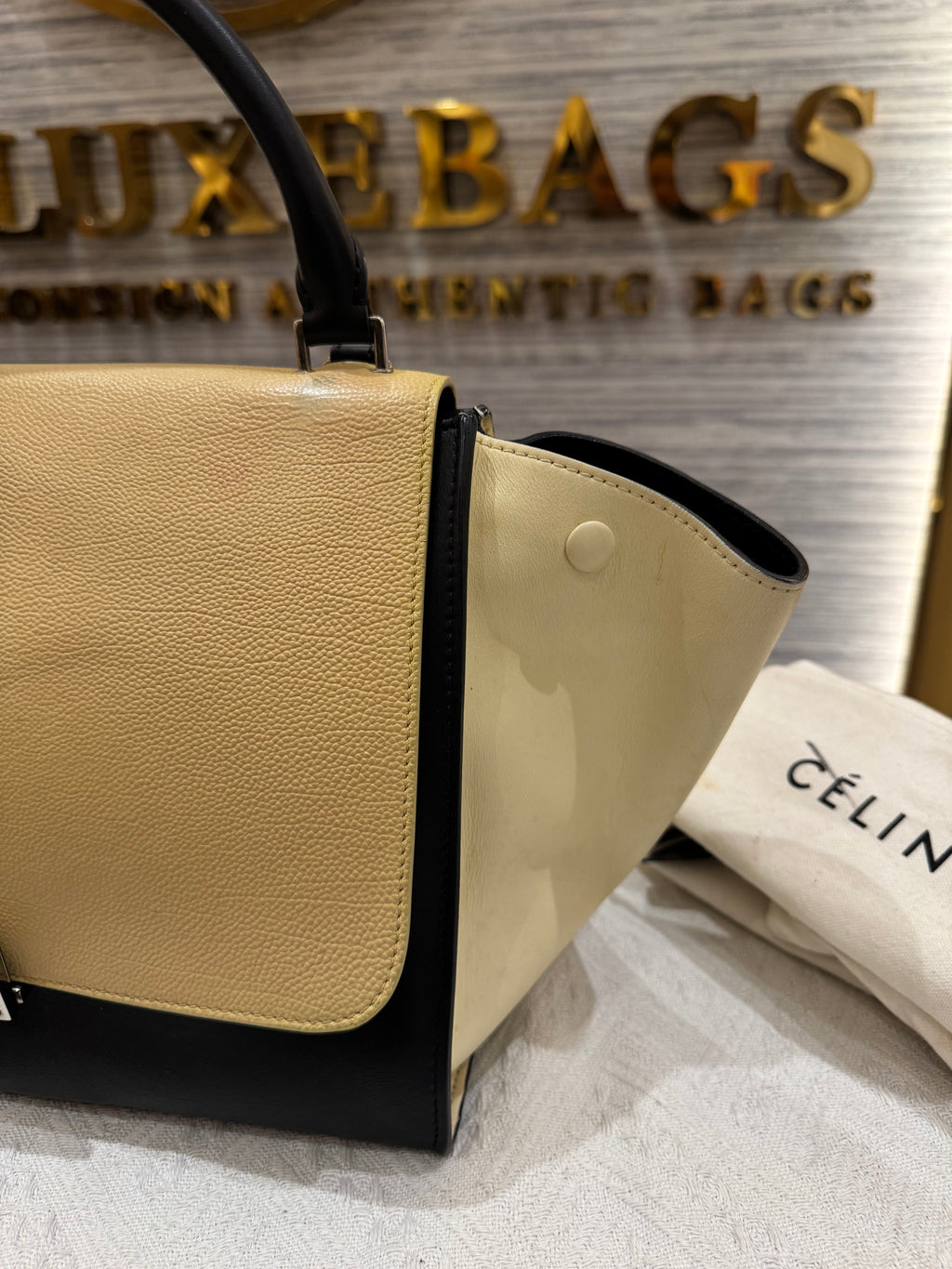 Celine Trapez Multicolour