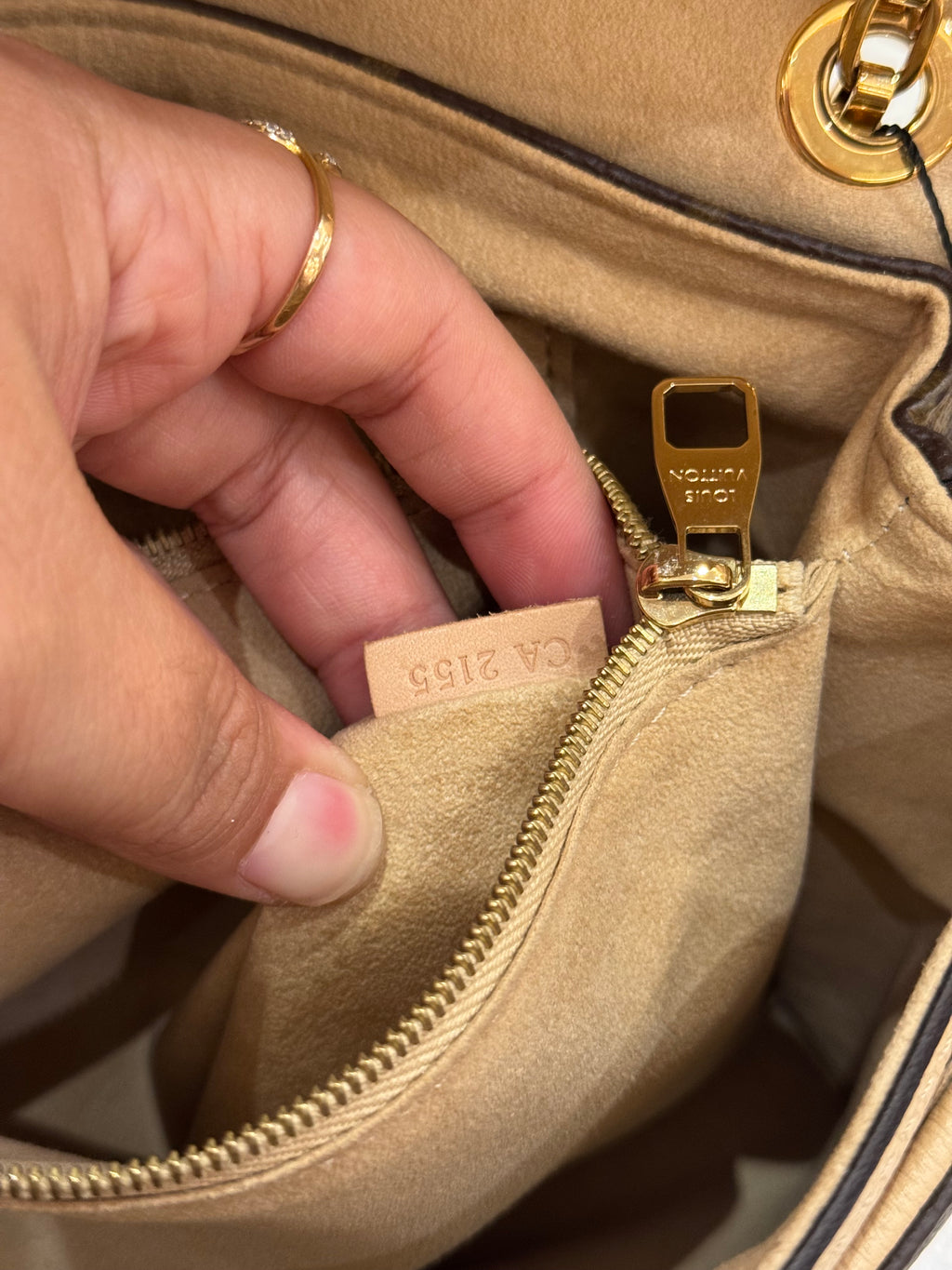 Louis Vuitton Pallas Chain Monogram Dune
