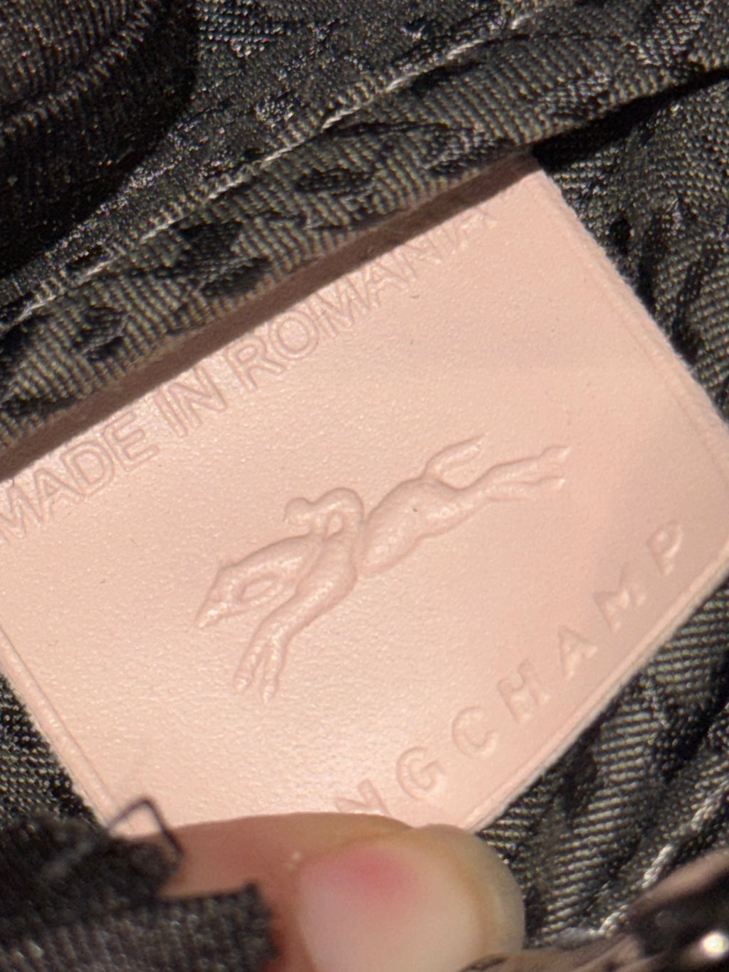 Longchamp Le Pliage Cuir