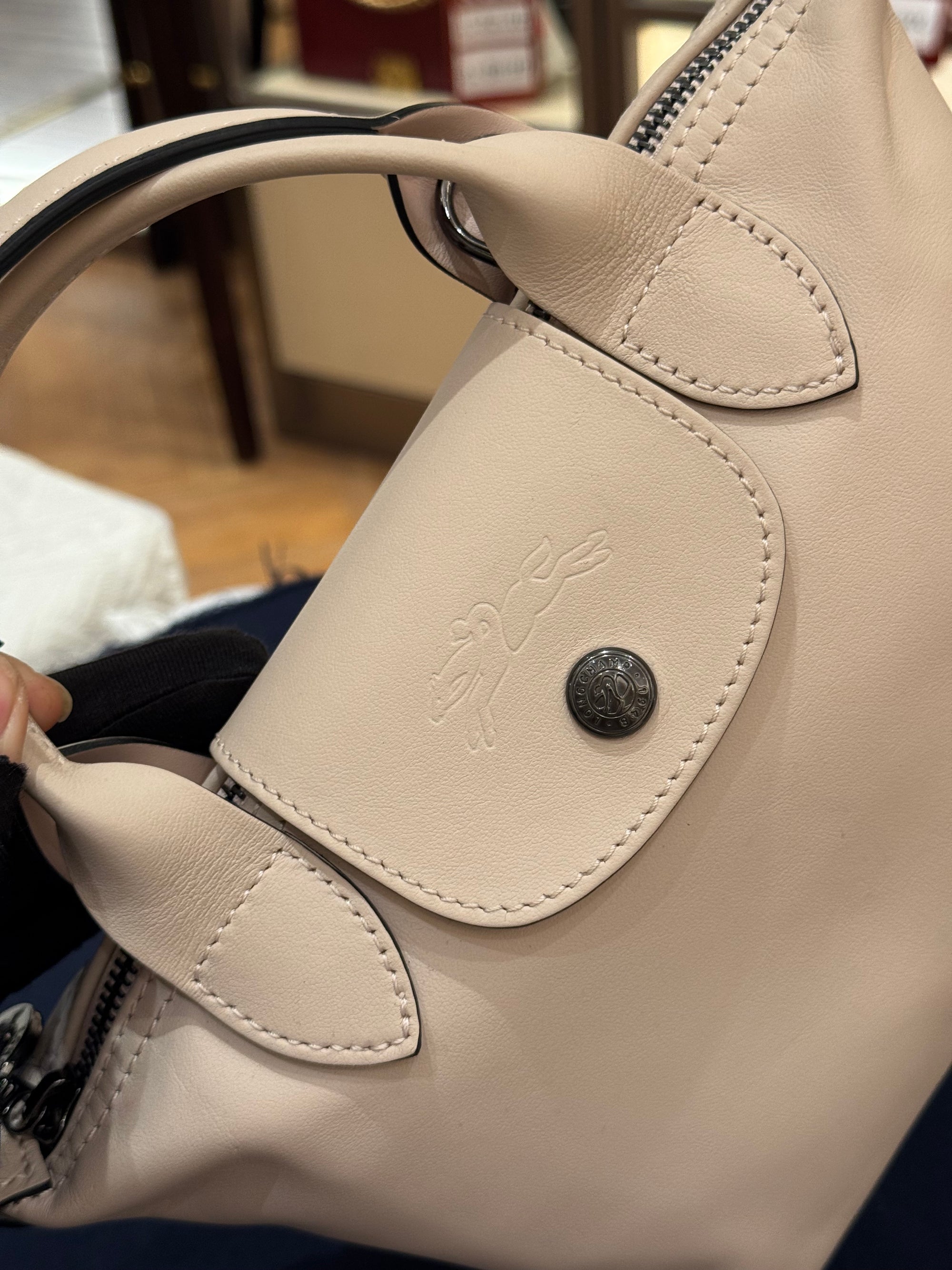 Longchamp Le Pliage Cuir
