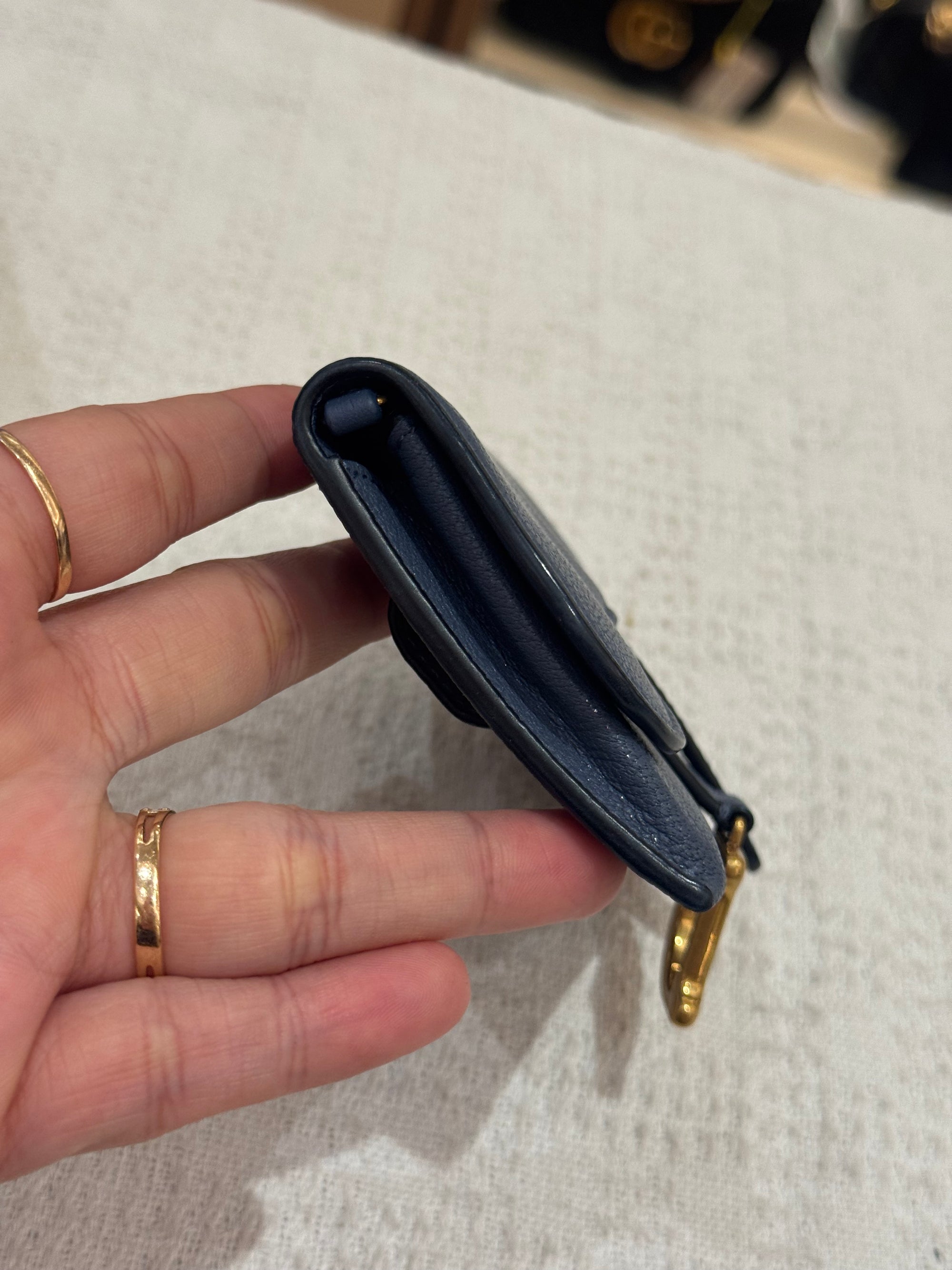 Dior Saddle Mini Wallet Chain